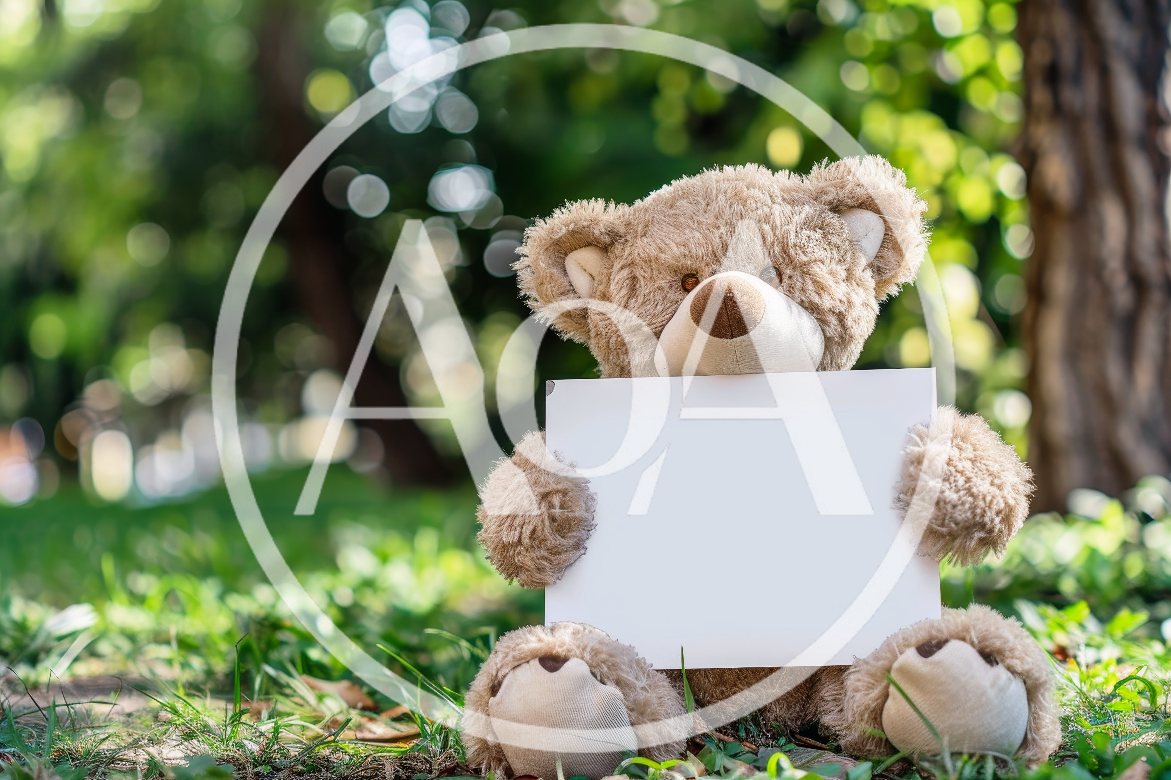 Teddy Bear Holding Blank Sign In Park