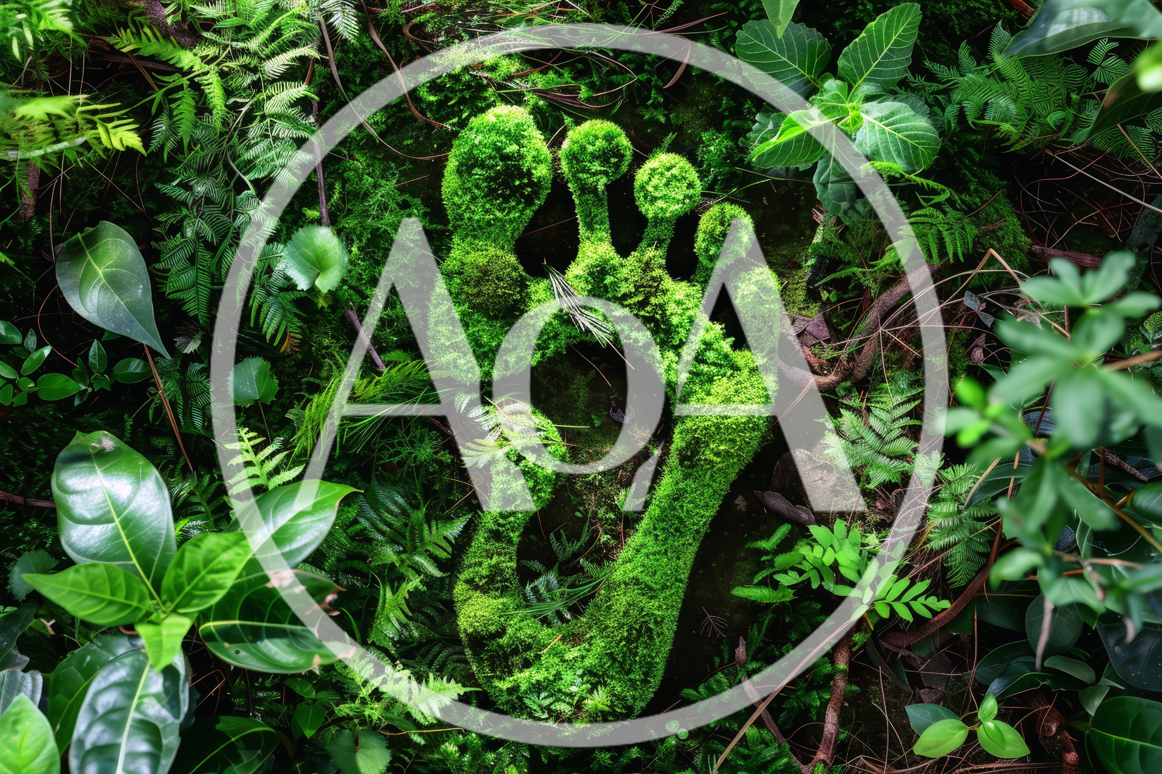 Moss Covered Human Footprint In Lush Tropical Forest