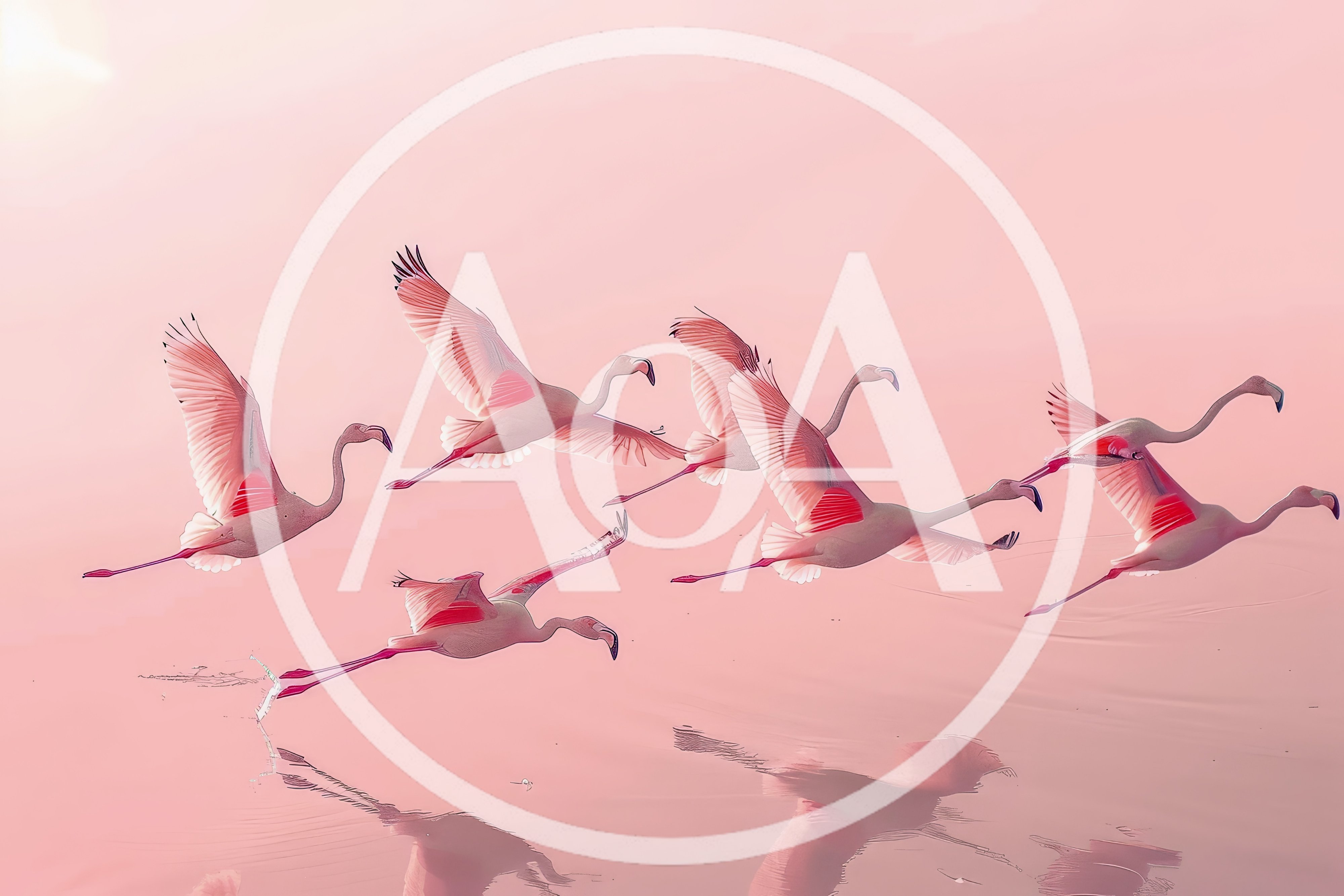 Flock Of Flamingos Flying Over Pink Water