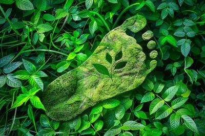 Mossy Footprint Symbol With Plant In Lush Greenery