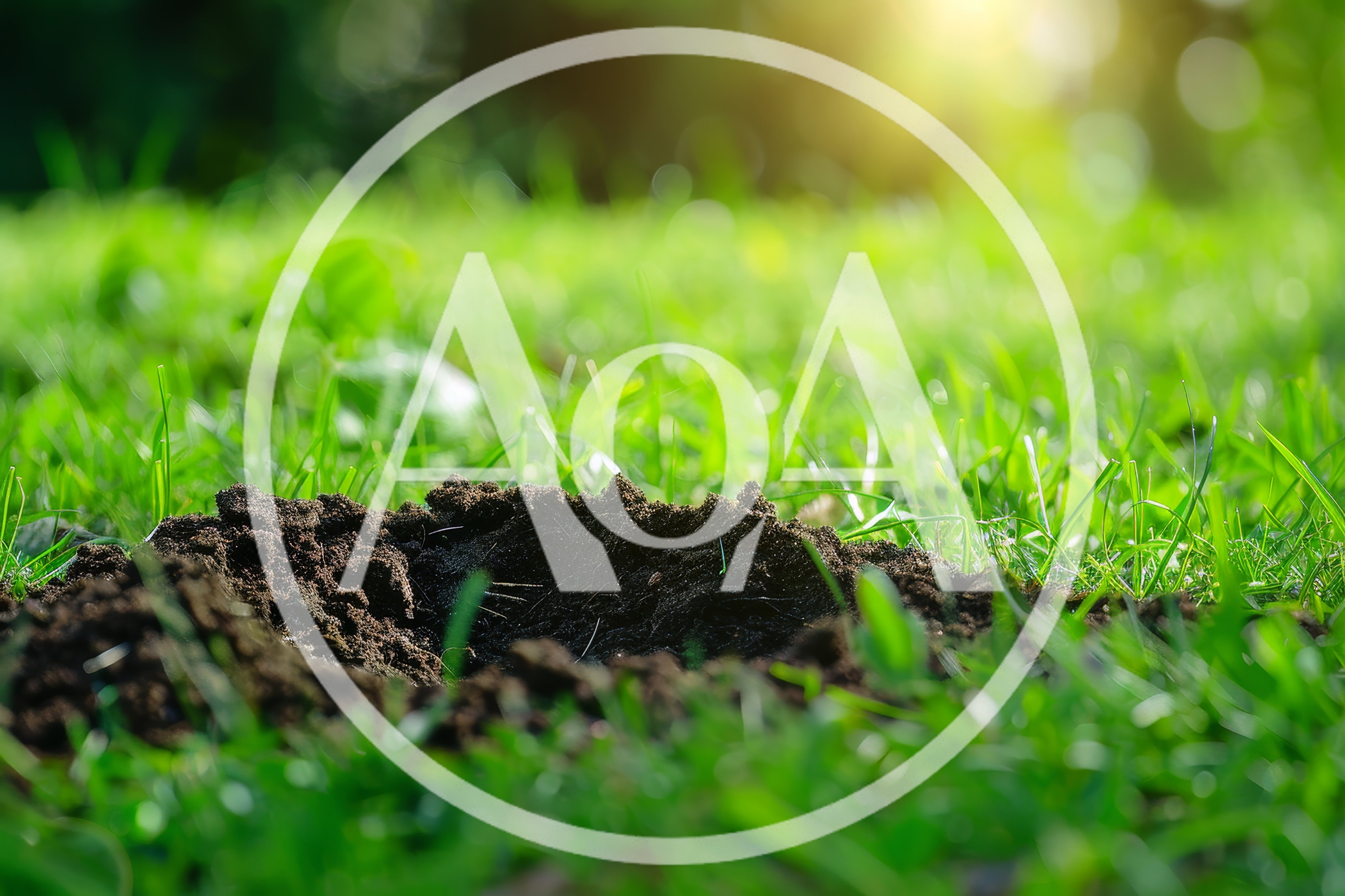 Small Animal Burrow Hole In Green Grass Lawn