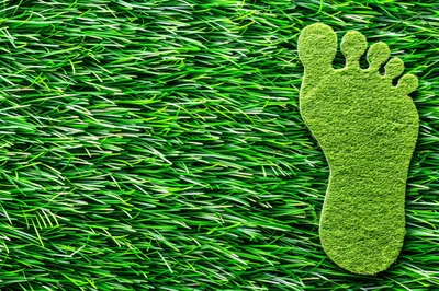Green Footprint Shape On Artificial Grass Background