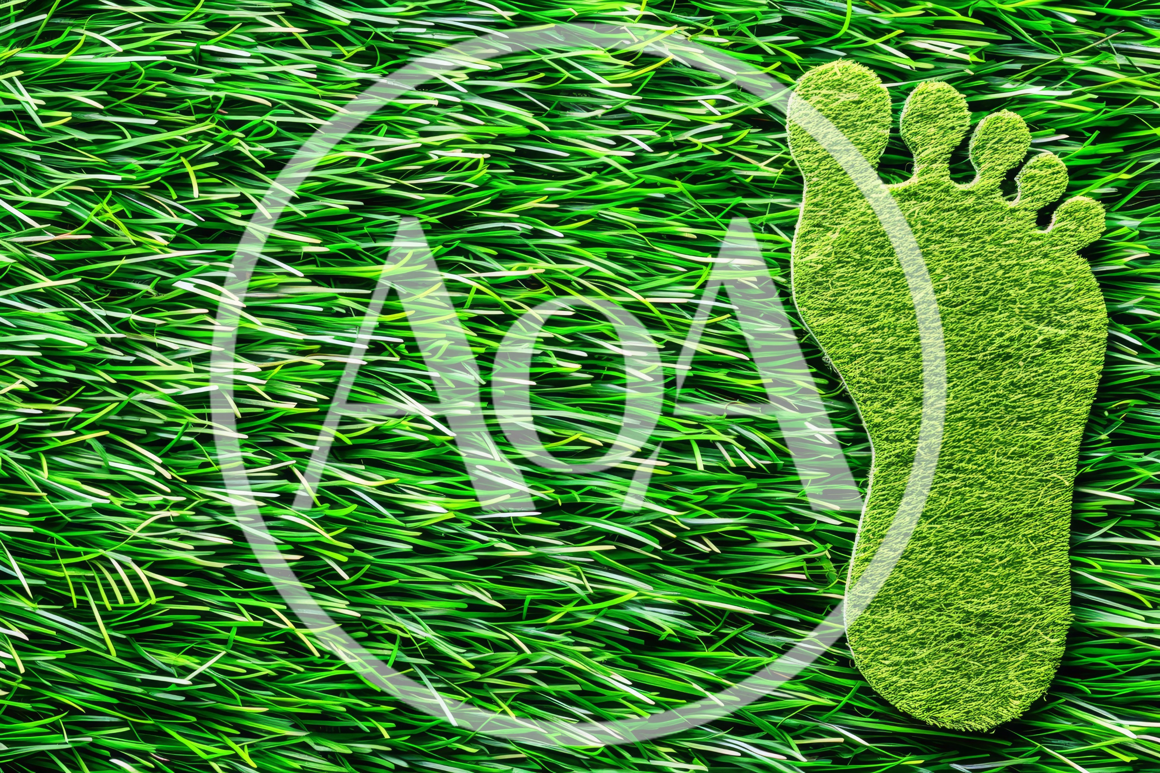 Green Footprint Shape On Artificial Grass Background