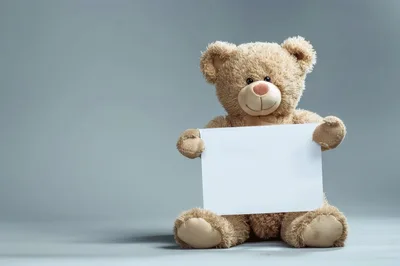 Teddy Bear Holding A Blank White Sign