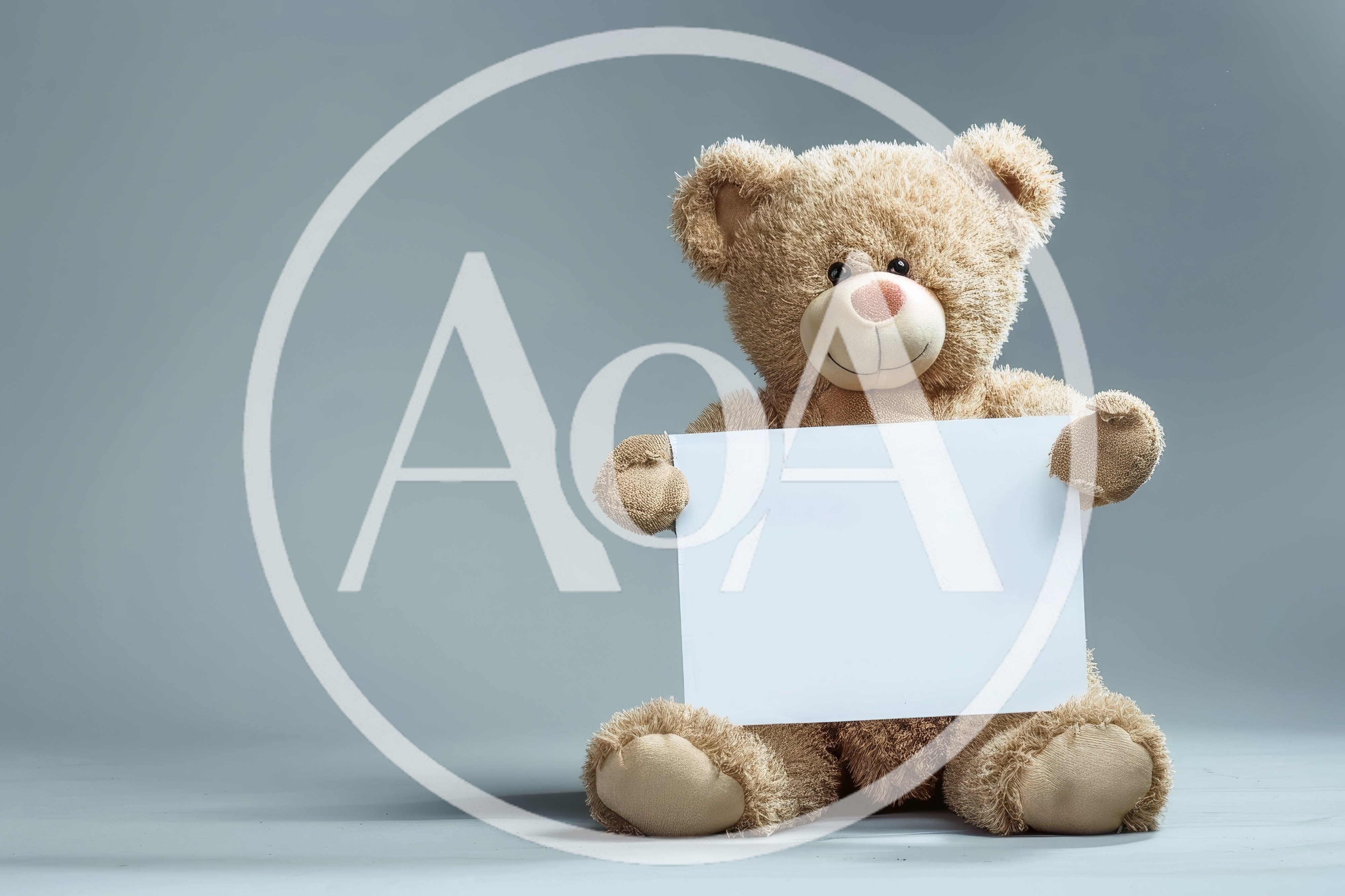 Teddy Bear Holding A Blank White Sign