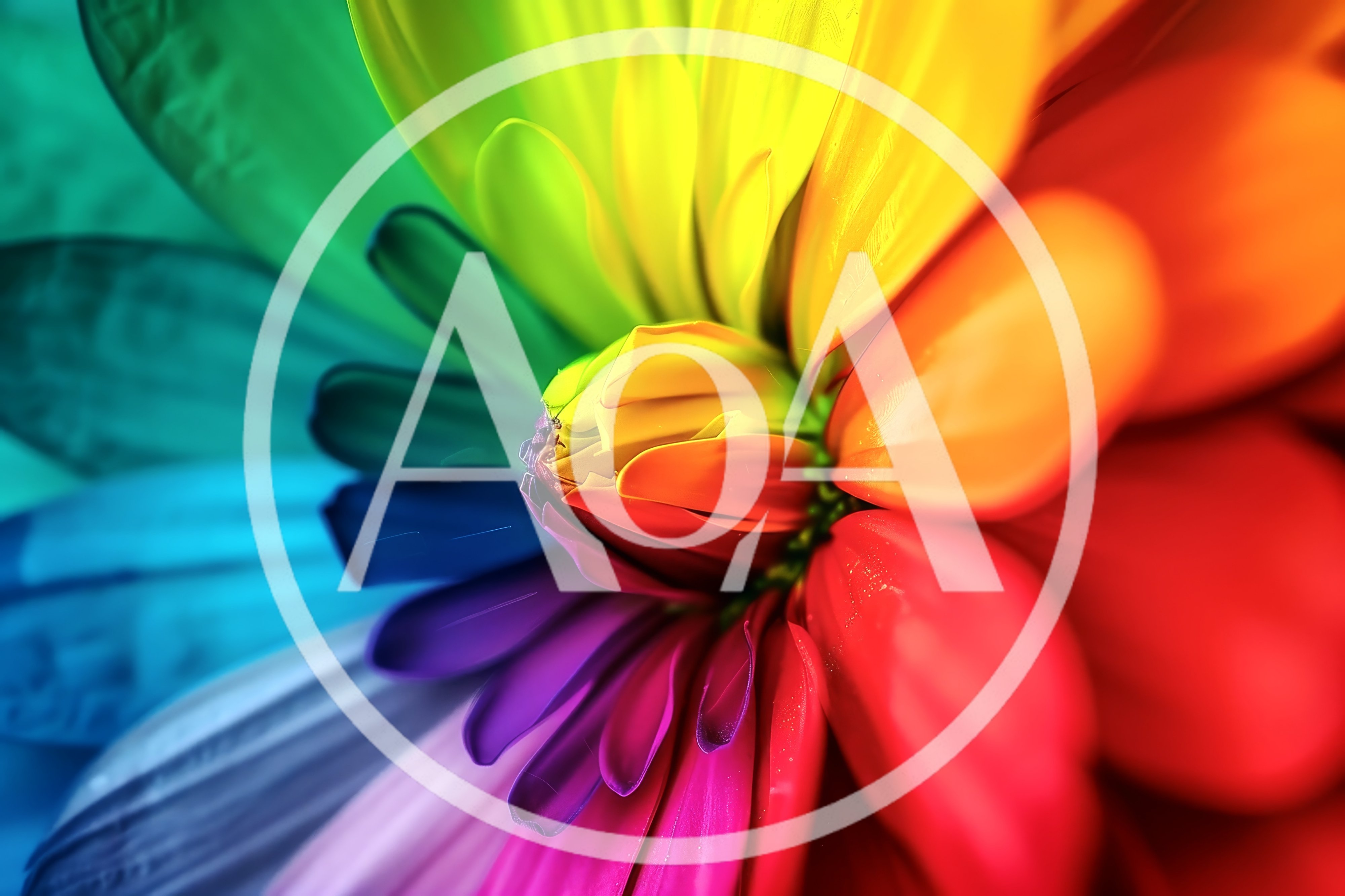 Macro Close Up Of A Vibrant Rainbow Colored Flower