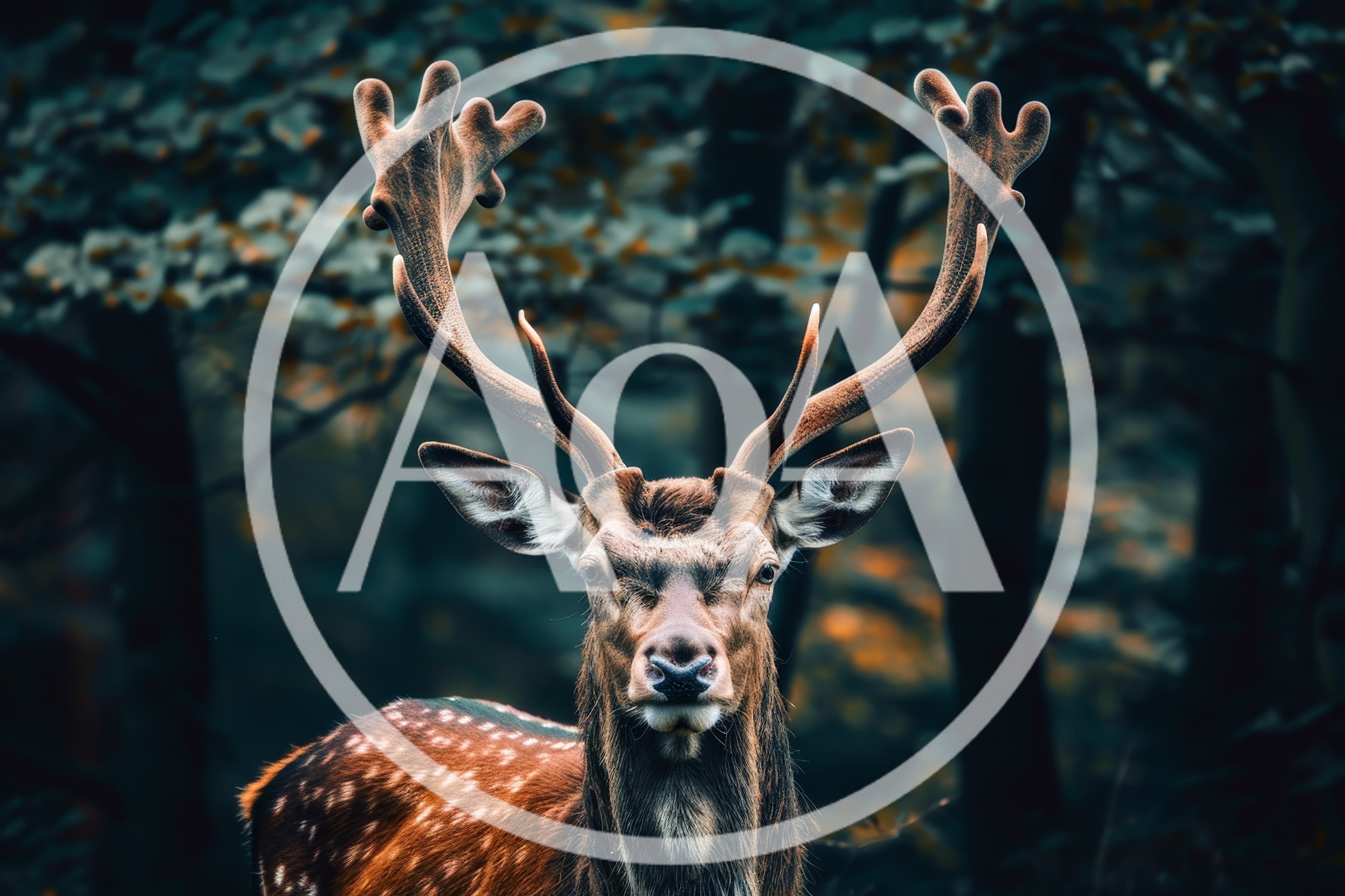 Majestic Fallow Deer Stag Standing In Dark Forest