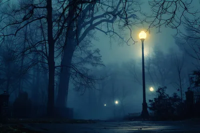 Street Lamp Illuminating A Foggy Park At Night