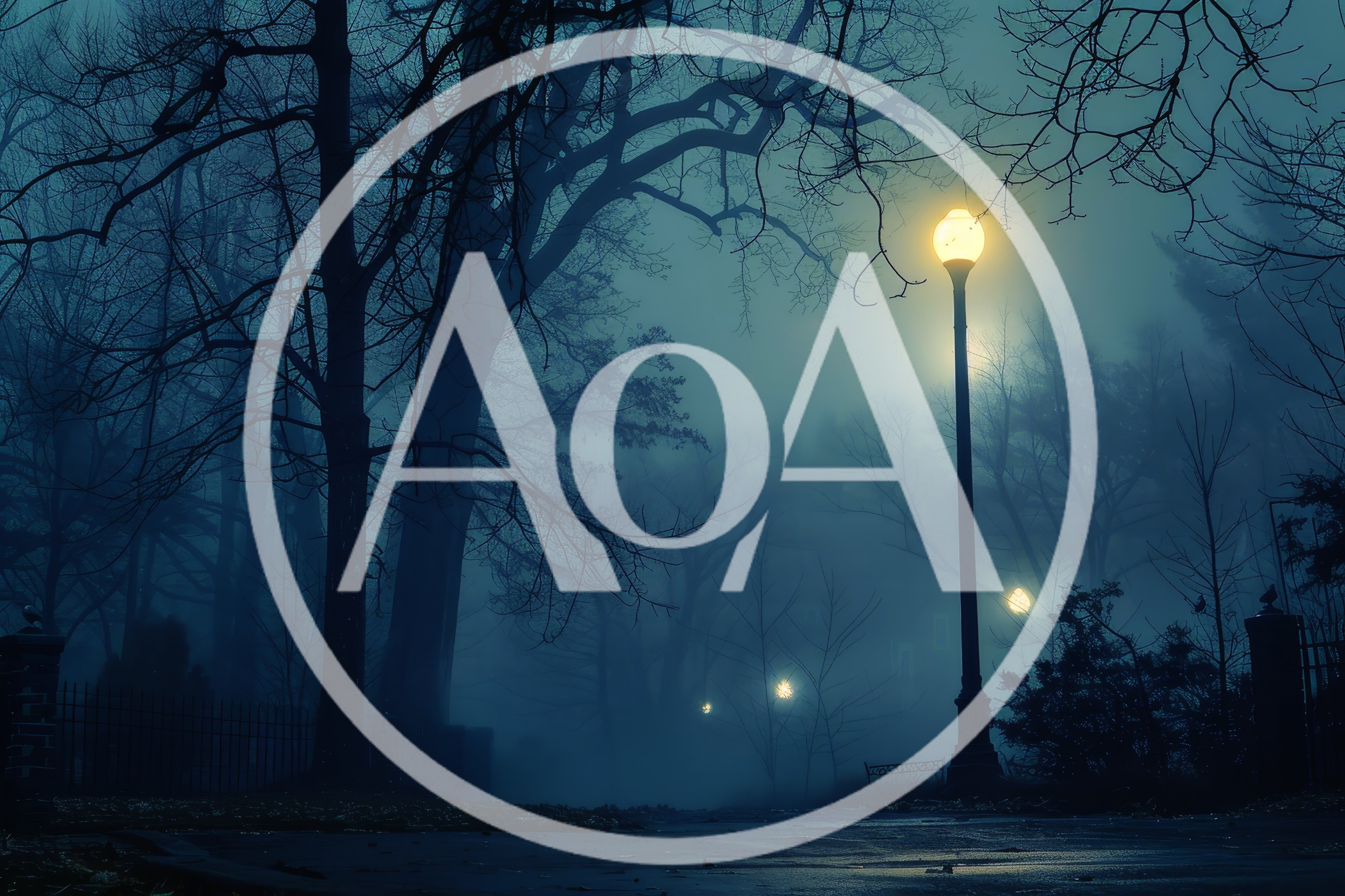 Street Lamp Illuminating A Foggy Park At Night