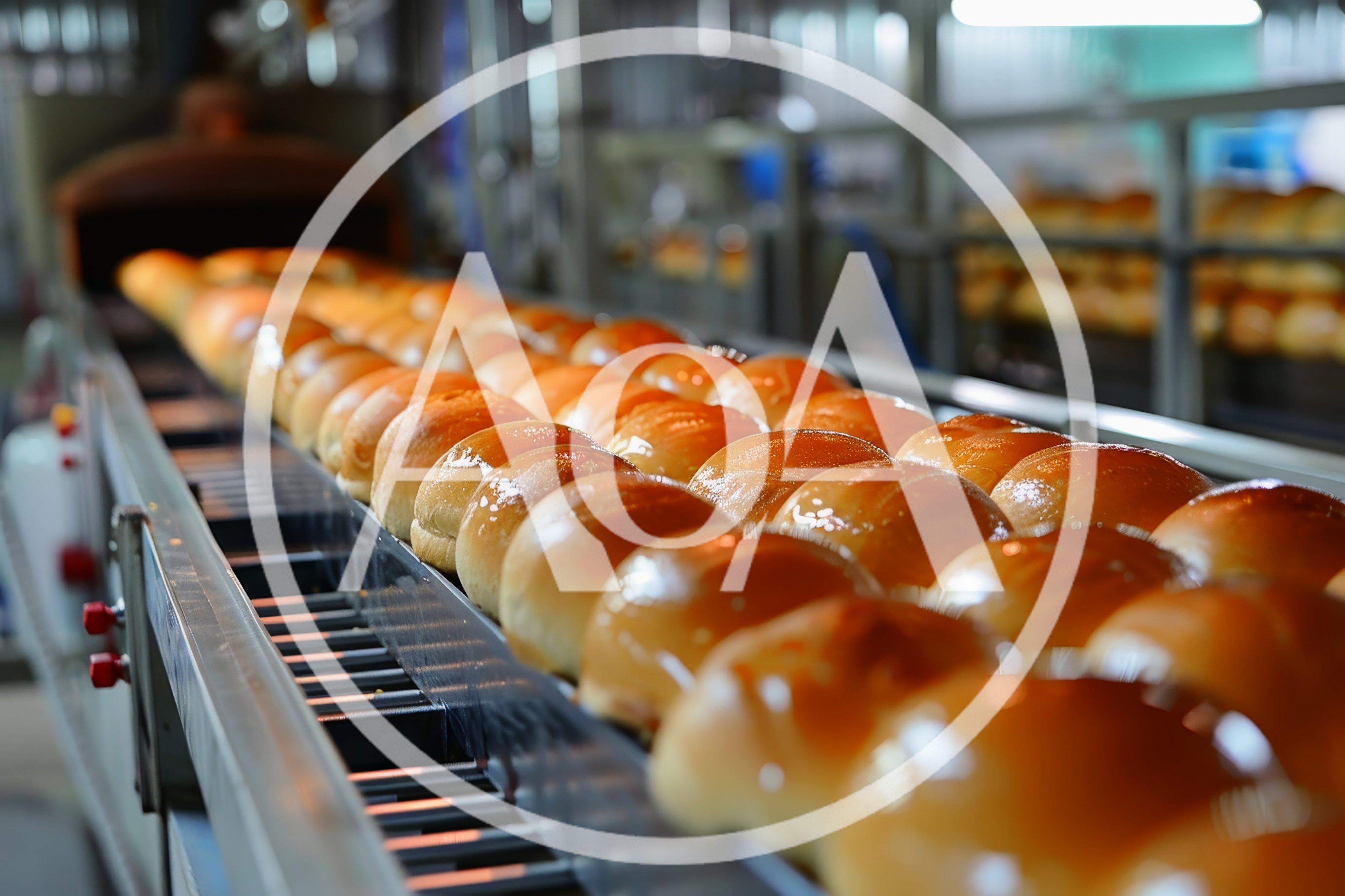 Freshly Baked Buns Moving Along Industrial Conveyor Belt