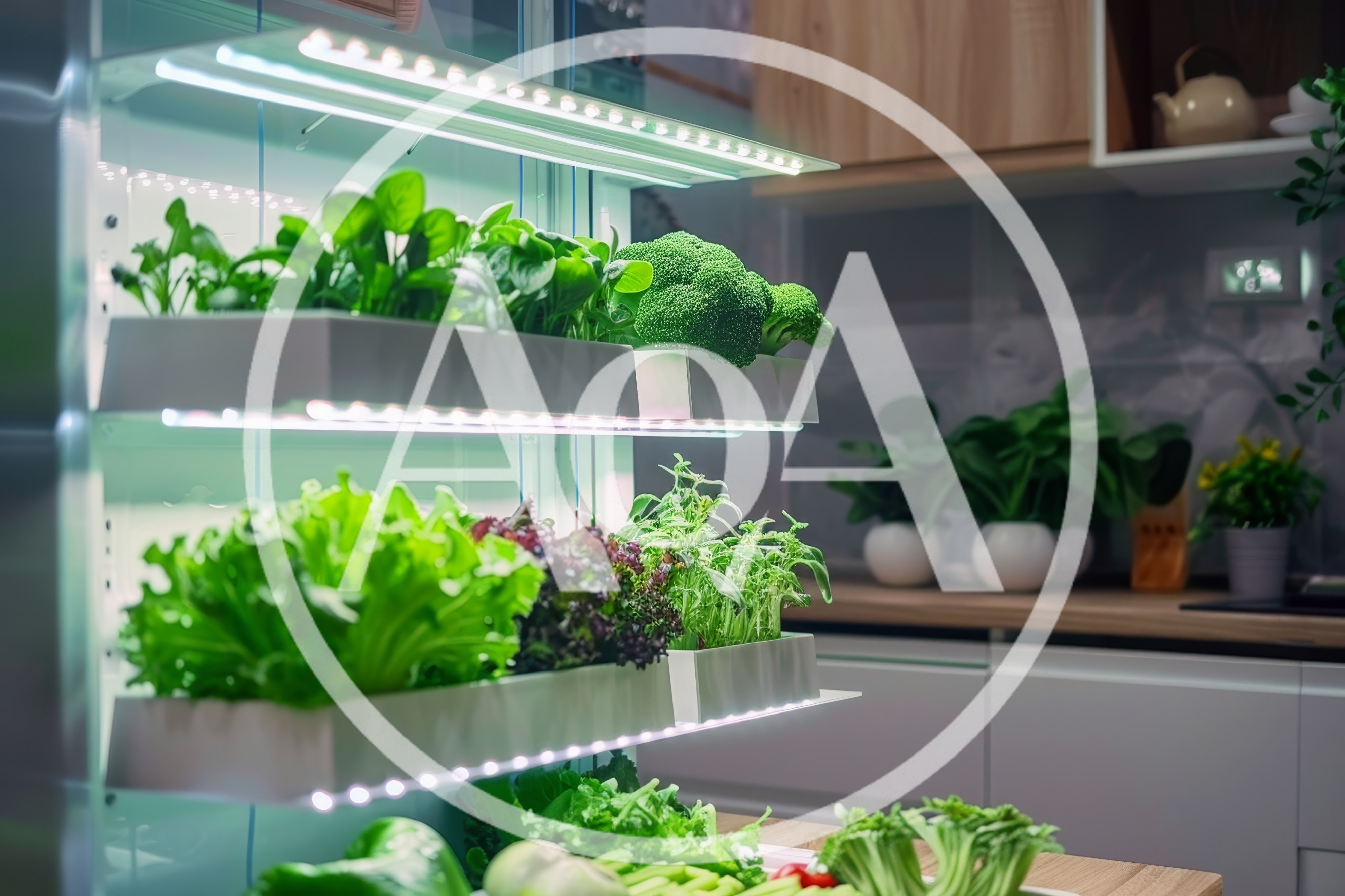 Indoor Vertical Hydroponic Garden In Modern Kitchen