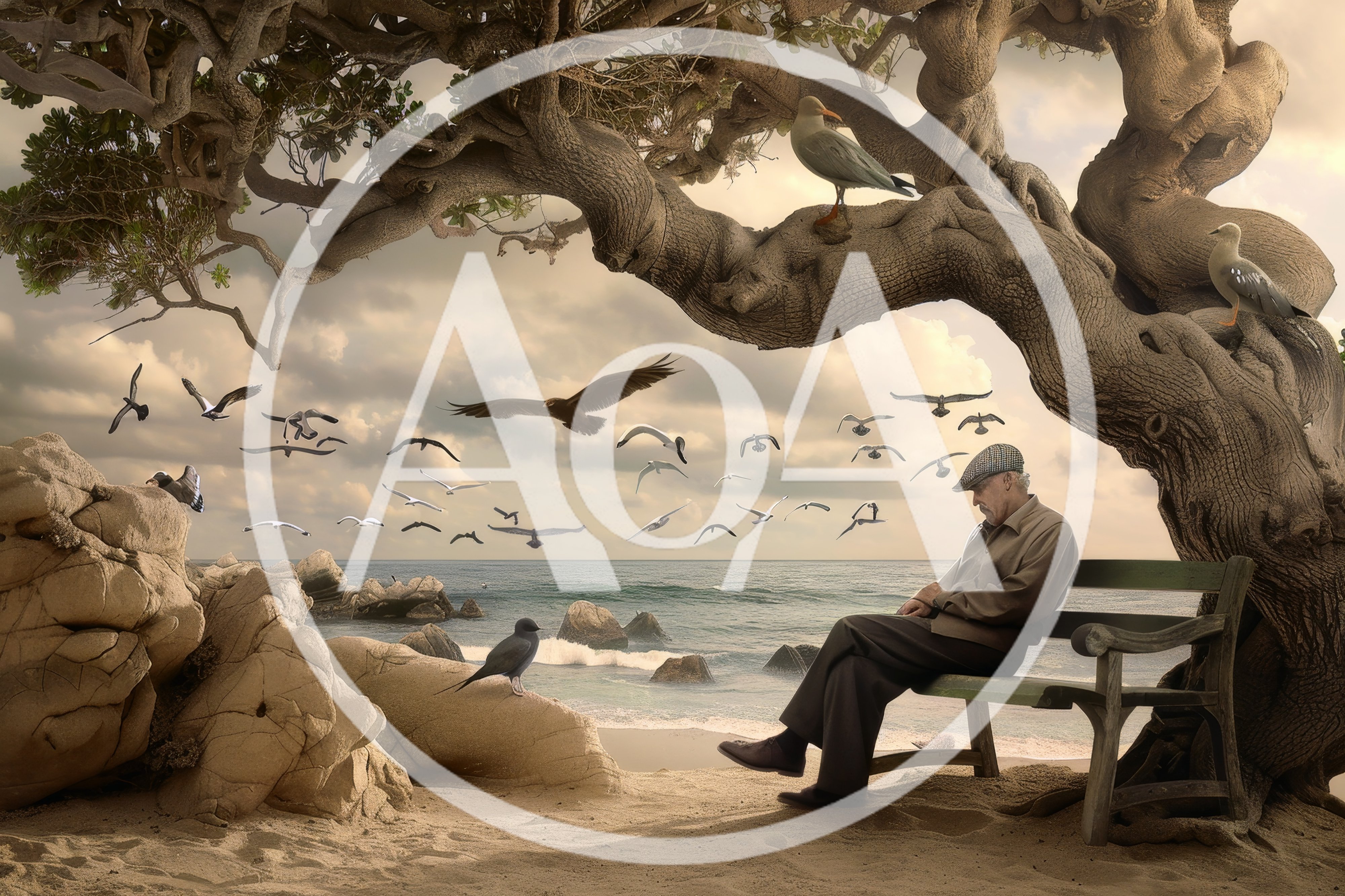 Elderly Man Resting On A Bench By The Sea