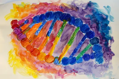 Hand Drawn Colorful DNA Double Helix Illustration