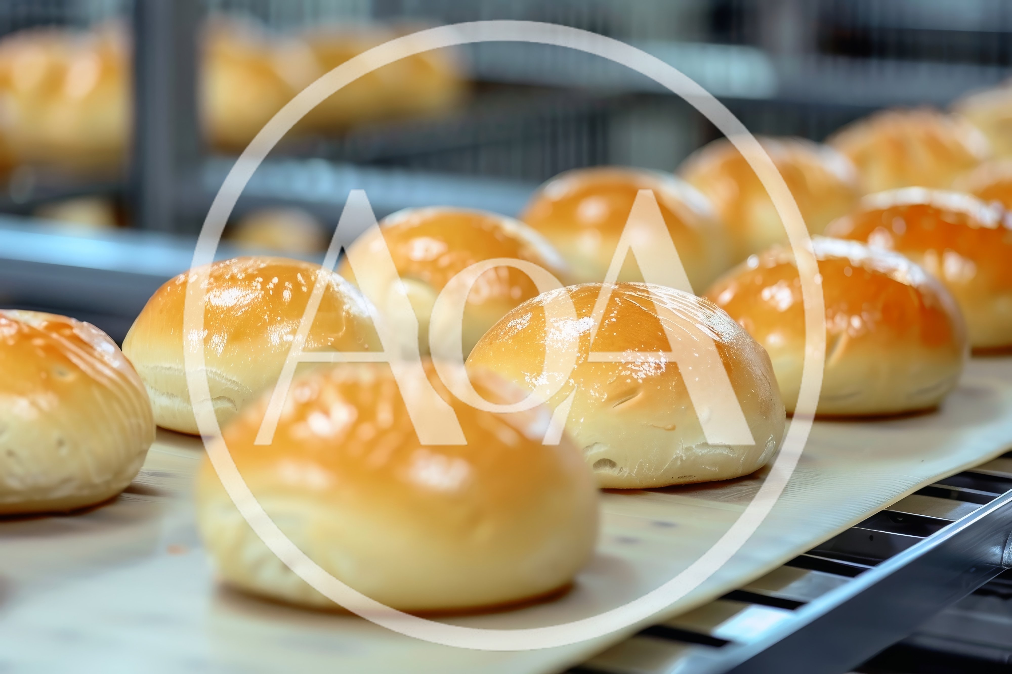 Freshly Baked Golden Bread Rolls On Industrial Conveyor Belt