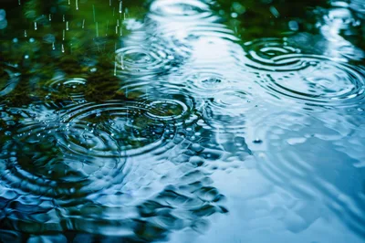 Raindrops Creating Concentric Ripples On Water Surface