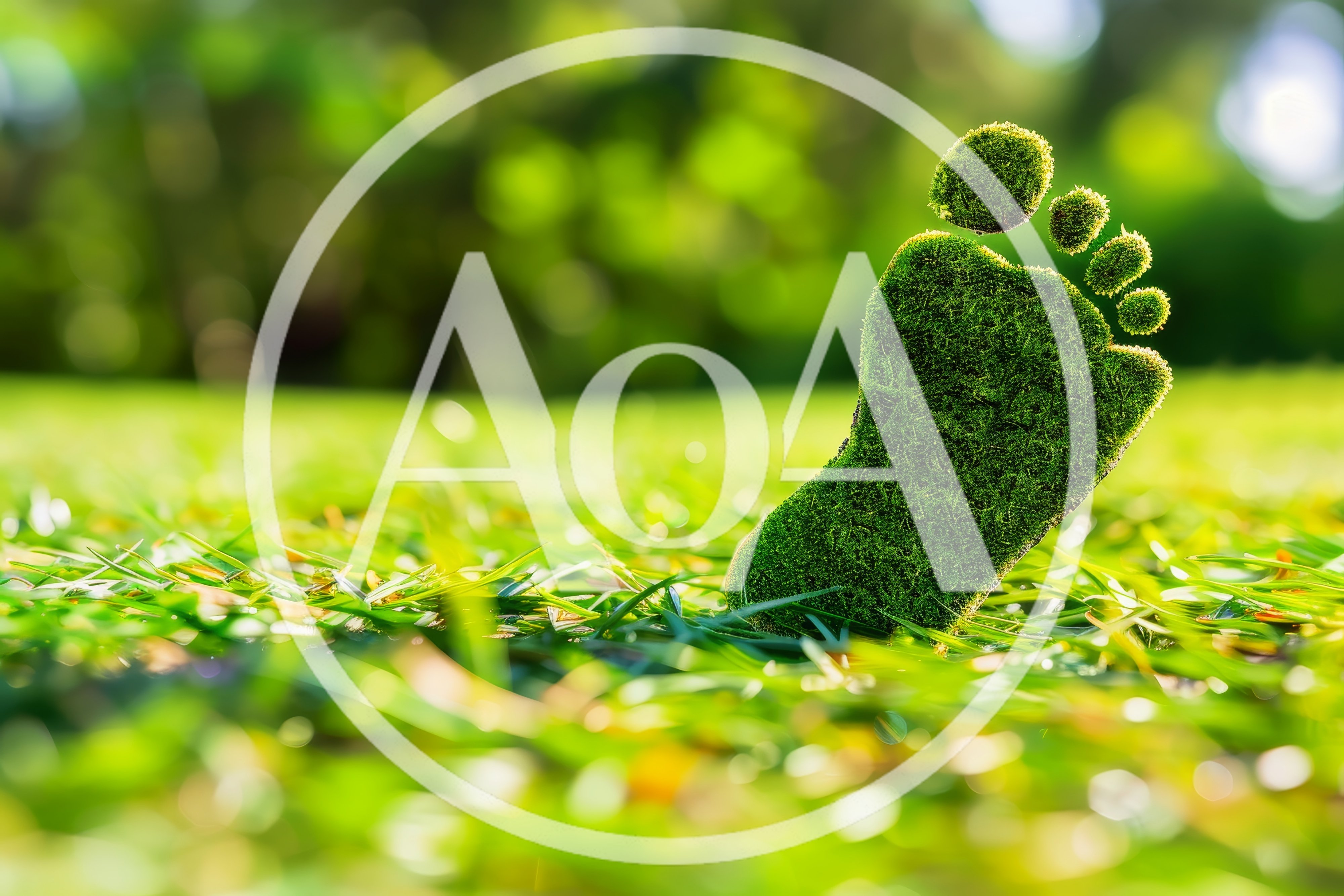 Mossy Footprint Symbol on Green Grass