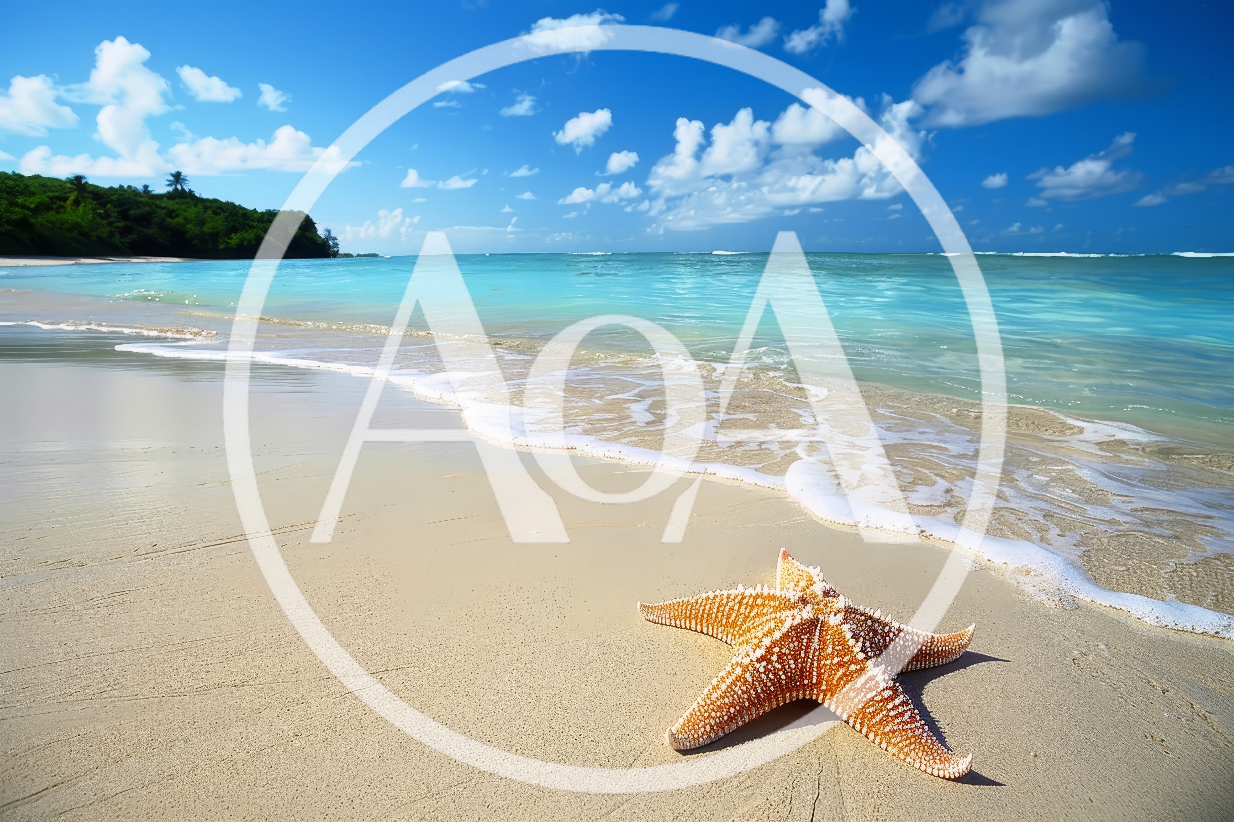 Starfish Resting on a Tropical Sandy Beach