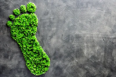 Green Footprint Shape Made Of Small Plants