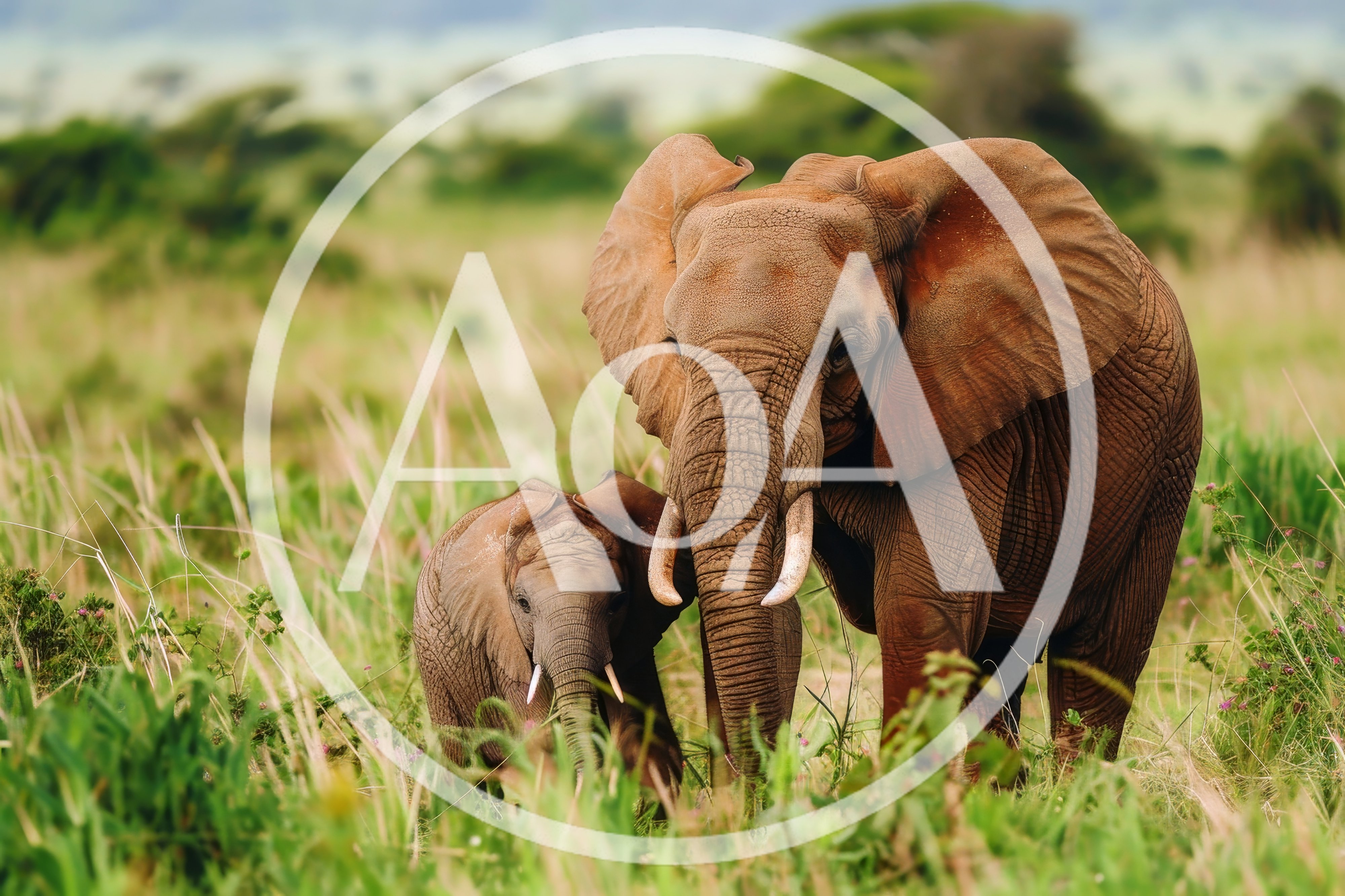 African Elephant Mother and Calf in Savanna
