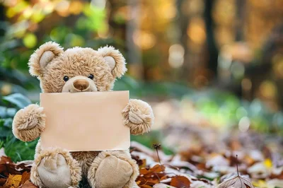 Teddy Bear Holding Blank Sign in Autumn Forest