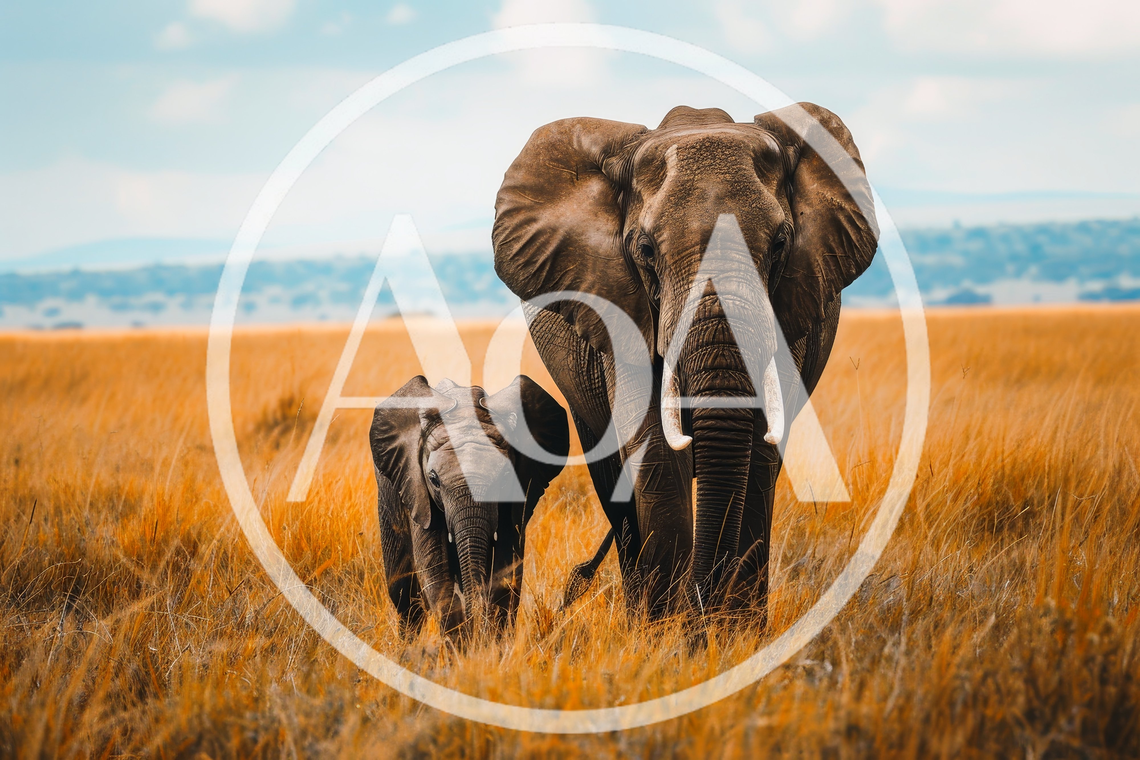 African Elephant Mother and Calf Walking in Savanna