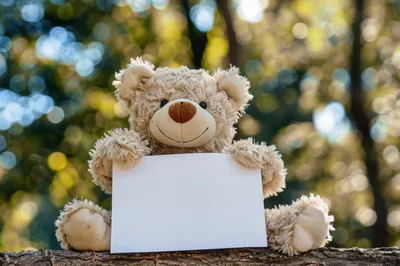 Teddy Bear Holding Blank Sign Outdoors