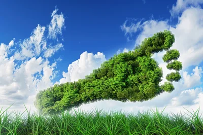Green Footprint Concept Floating Above Grass Field