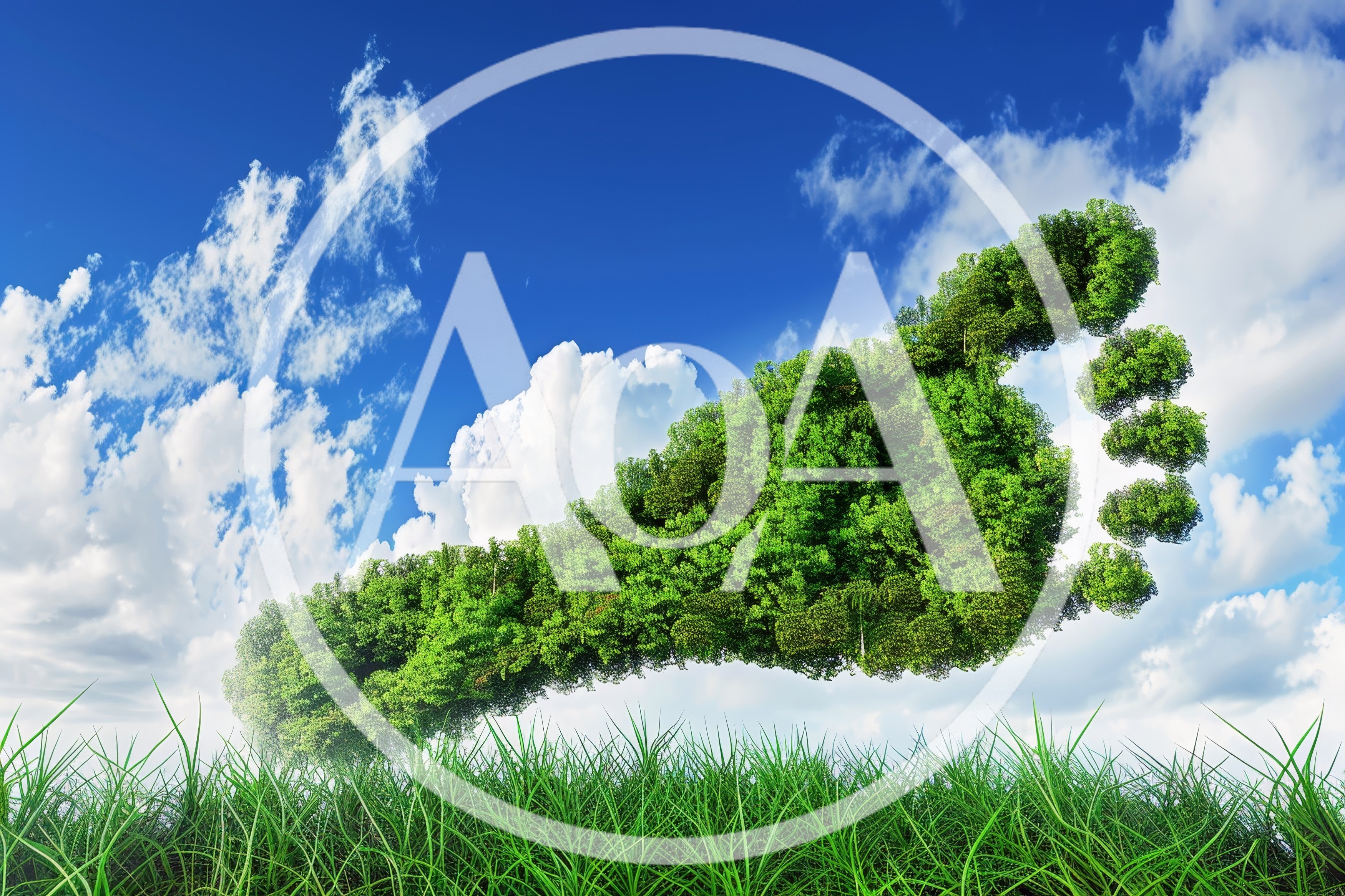 Green Footprint Concept Floating Above Grass Field