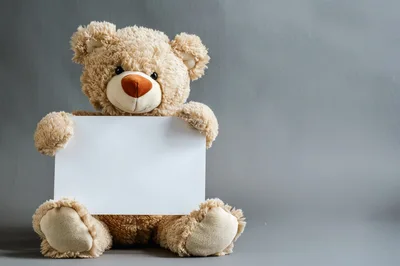 Teddy Bear Holding A Blank White Sign
