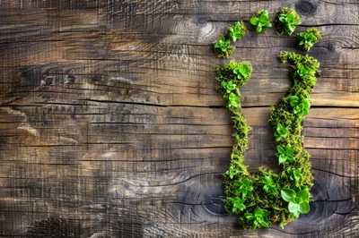 Green Footprint Shape Made Of Moss And Plants