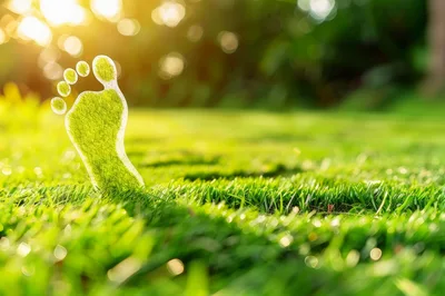 Green Footprint Symbol On Lush Grass Field