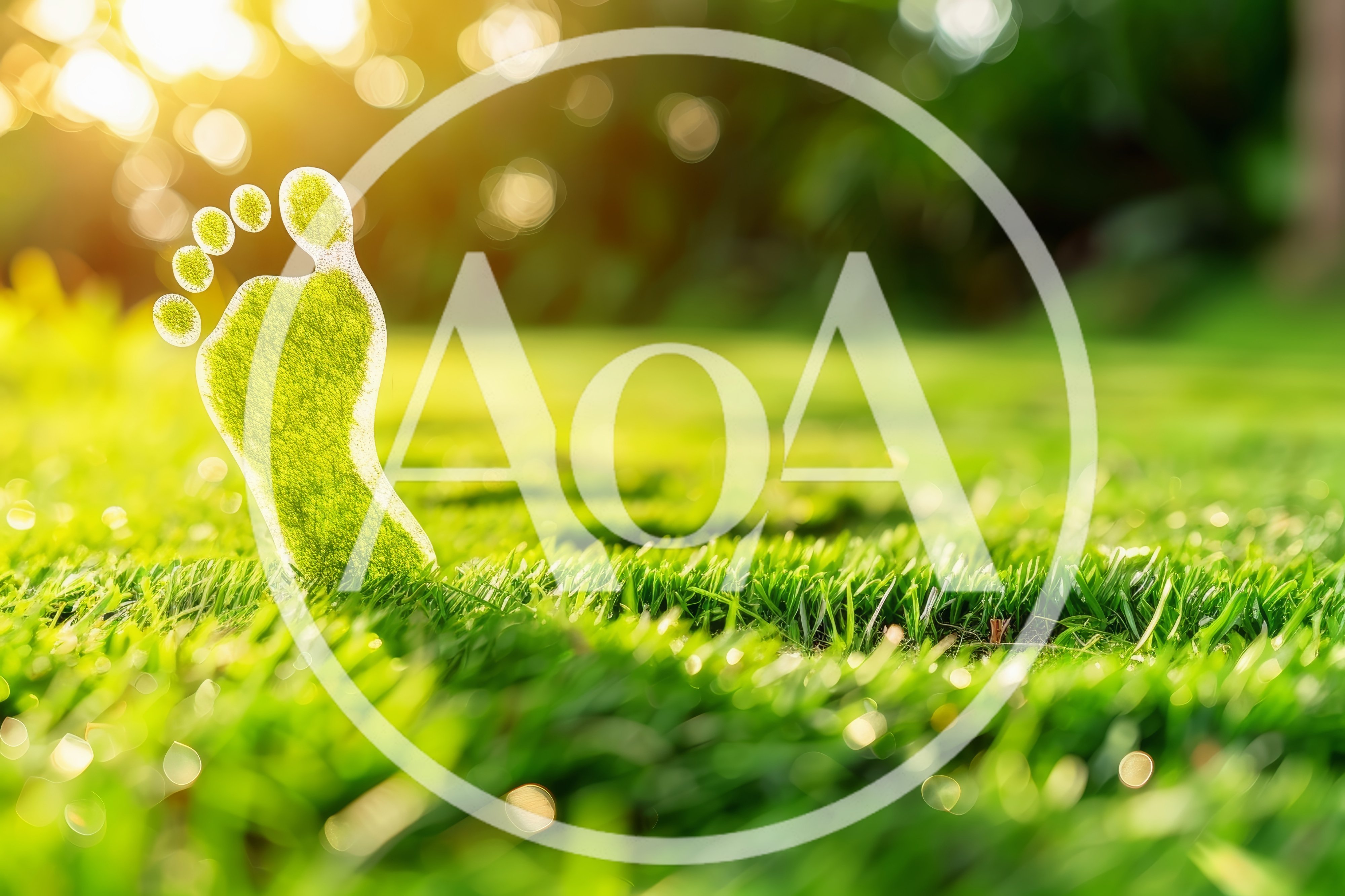 Green Footprint Symbol On Lush Grass Field