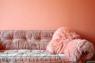 Pink Textured Sofa With Fluffy Throw Blanket