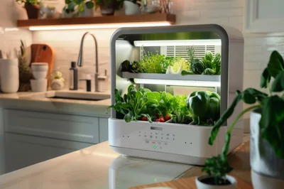 Modern Indoor Hydroponic Garden System On Kitchen Counter