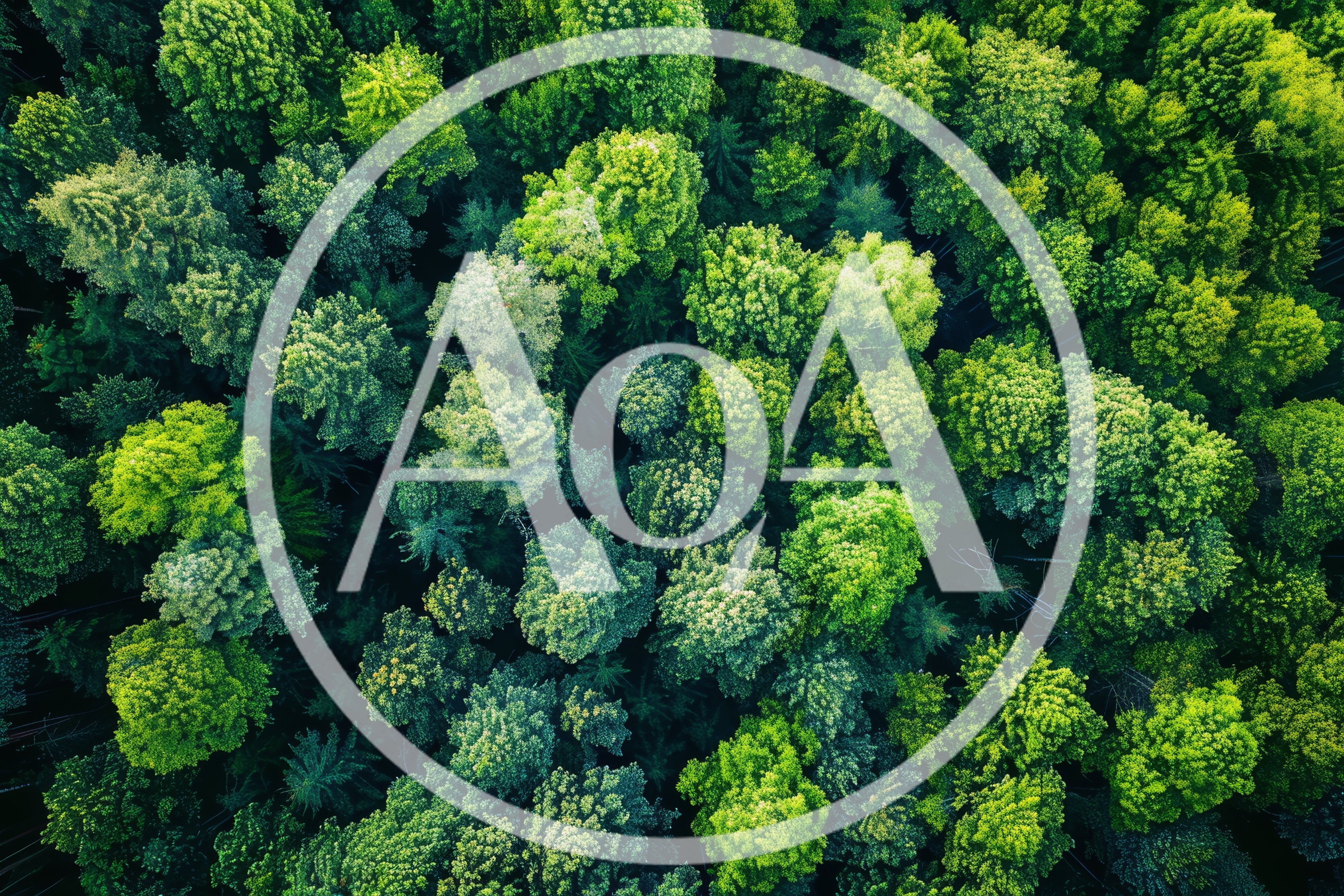 Aerial View Of Dense Lush Green Forest Canopy