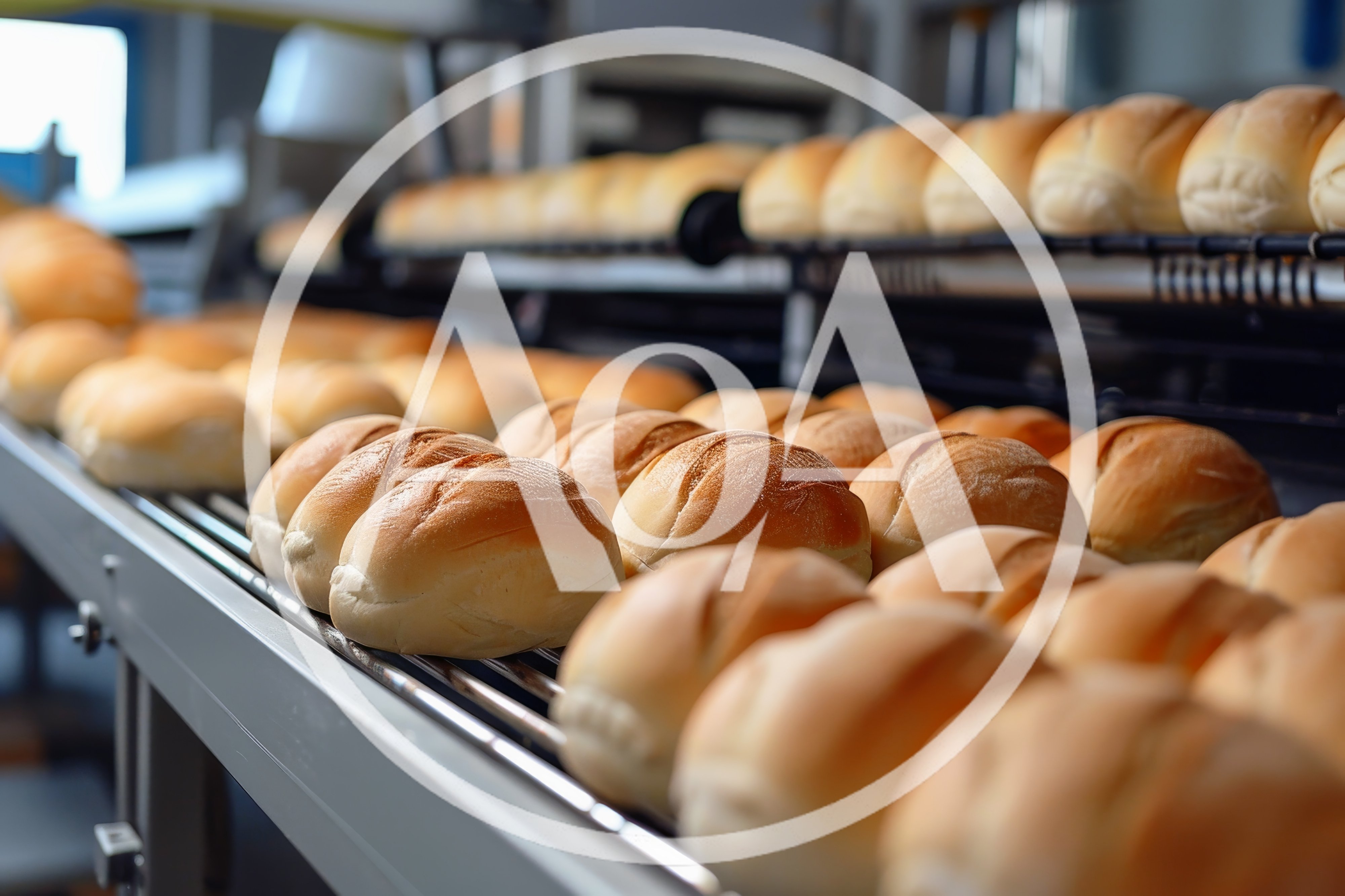 Fresh Bread Rolls Moving Along Industrial Conveyor Belt