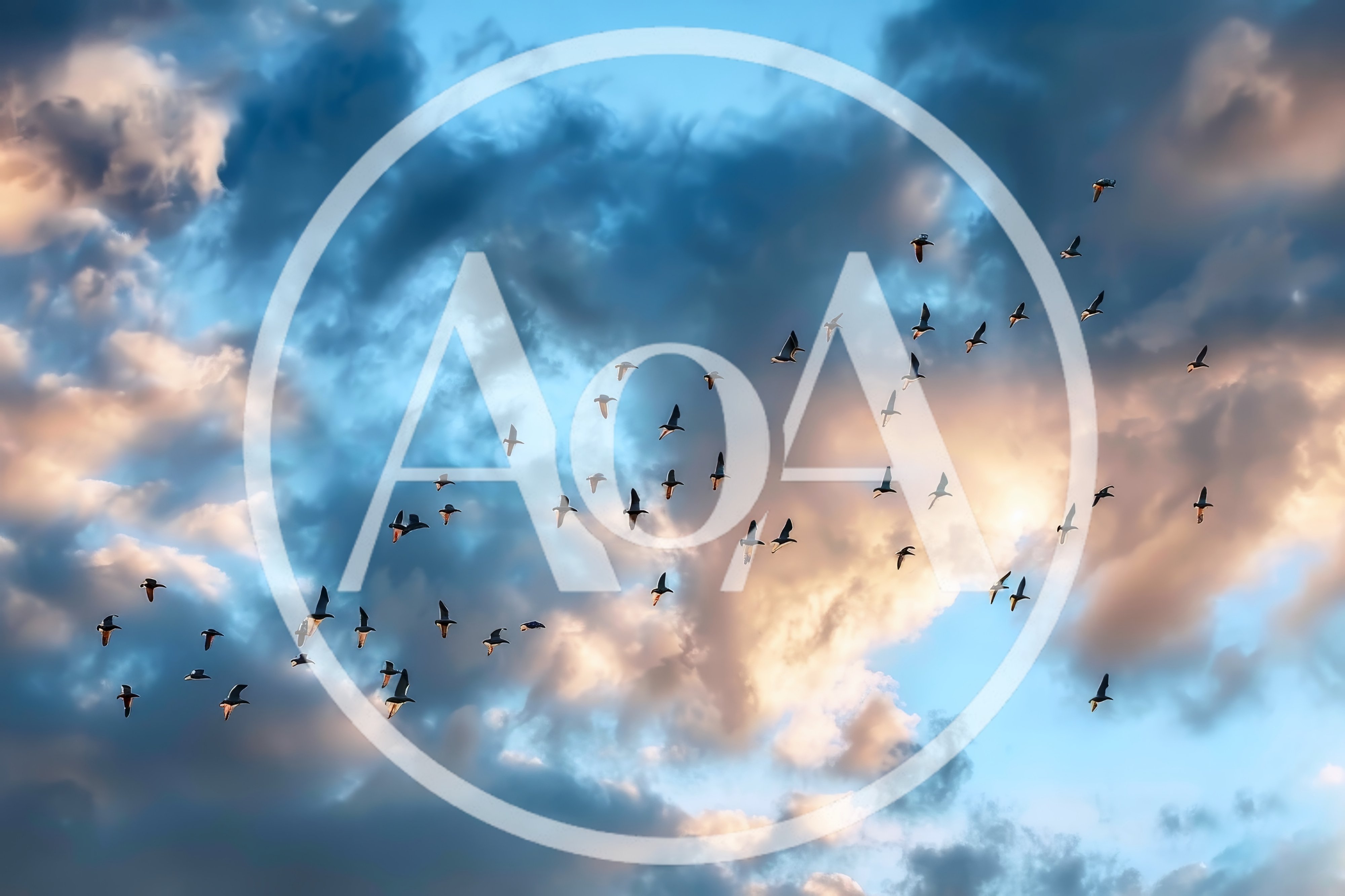 Flock Of Birds Flying In Cloudy Sunset Sky