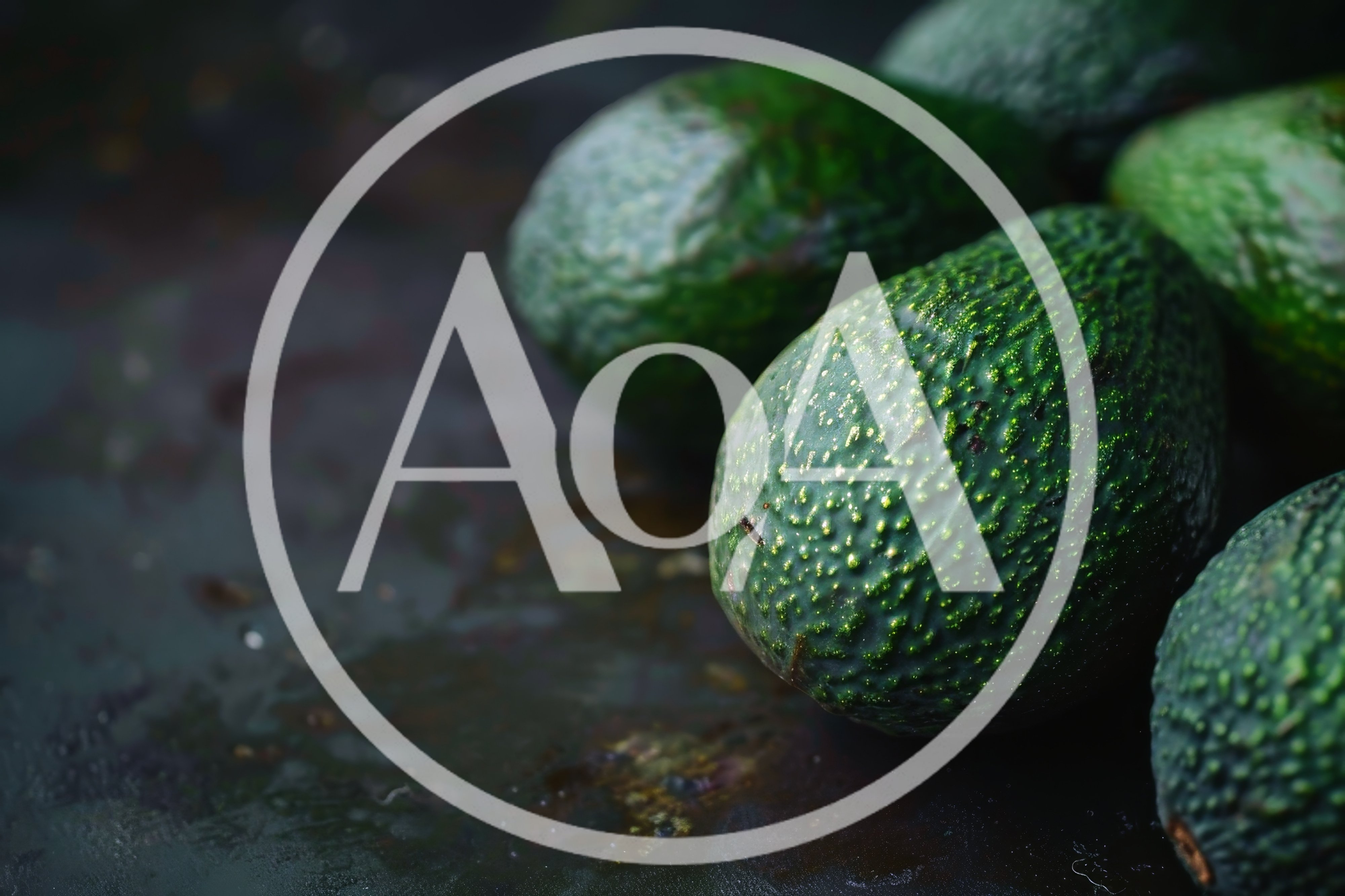 Fresh Ripe Avocados on a Dark Rustic Surface