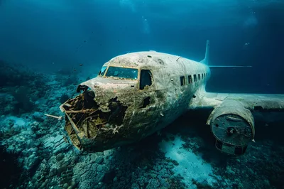 Sunken Airplane Wreck Underwater On The Ocean Floor