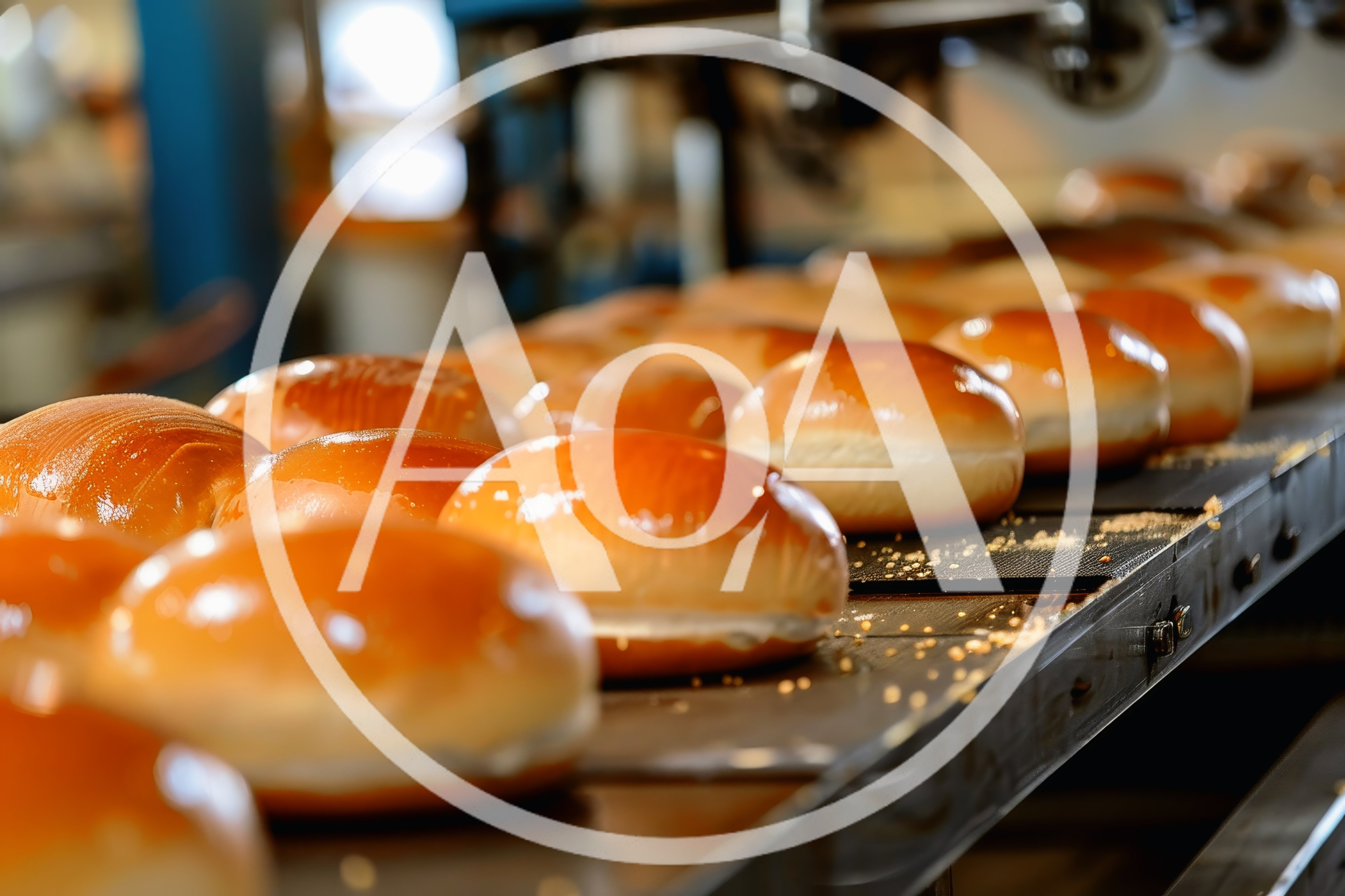 Freshly Baked Buns Moving Along Industrial Conveyor Belt