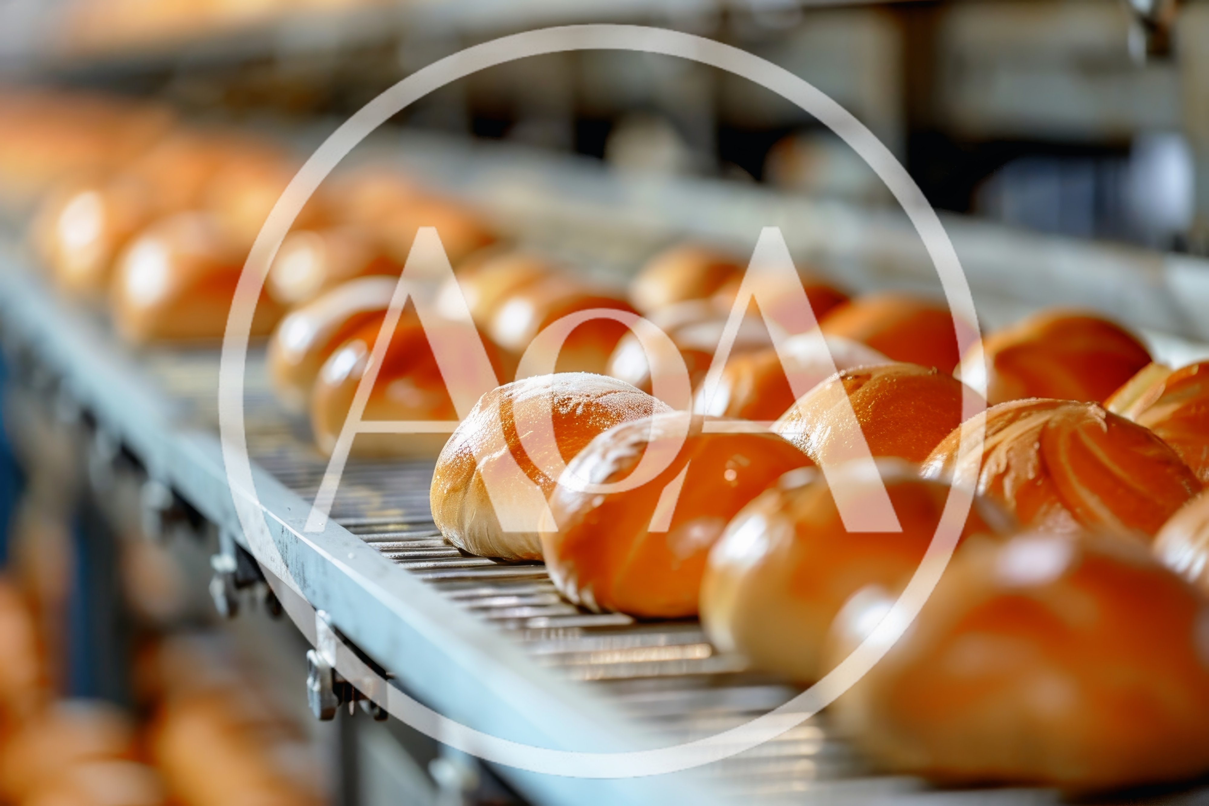 Freshly Baked Buns Moving Along Industrial Conveyor Belt