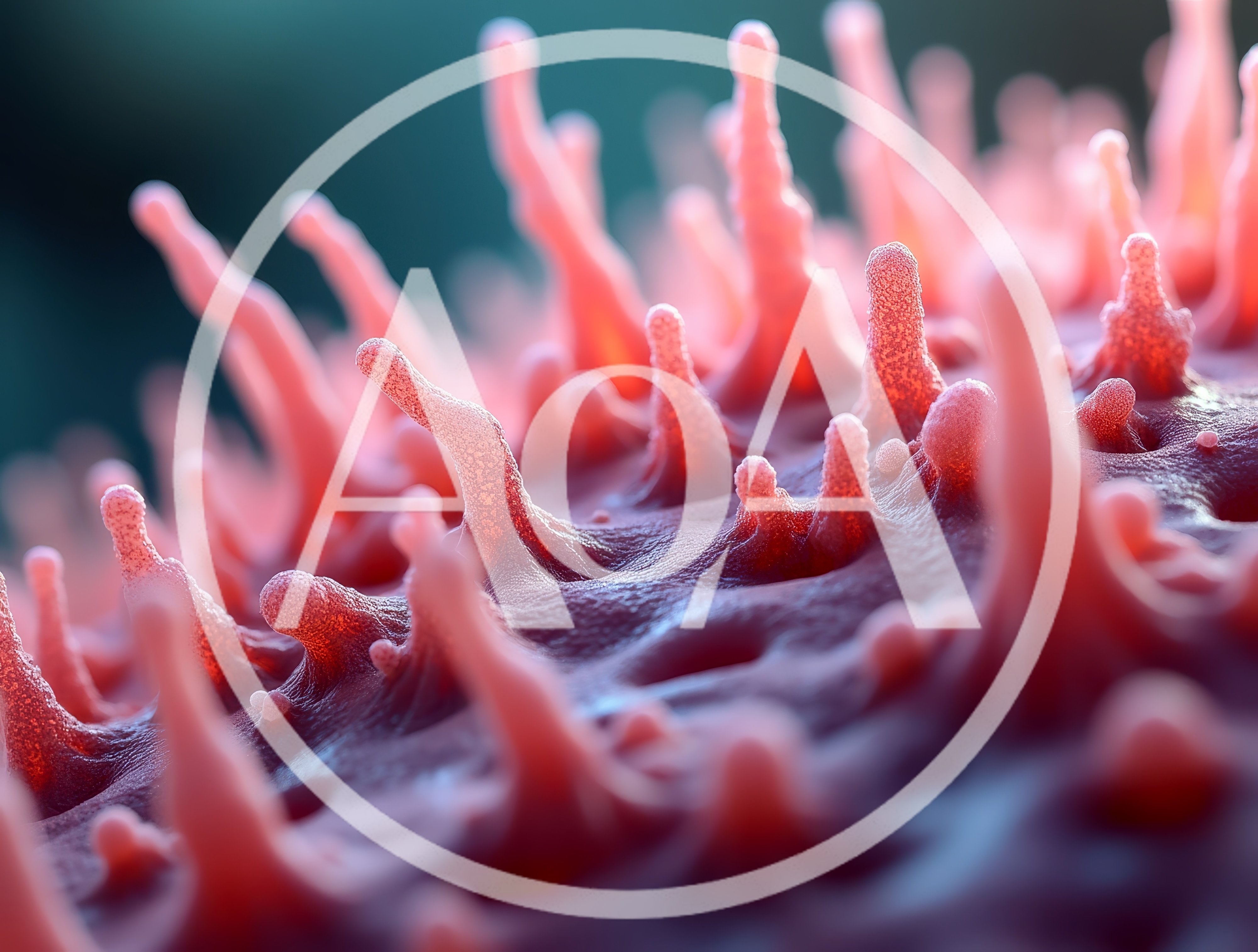 Microscopic View Of Biological Cell Surface Structures