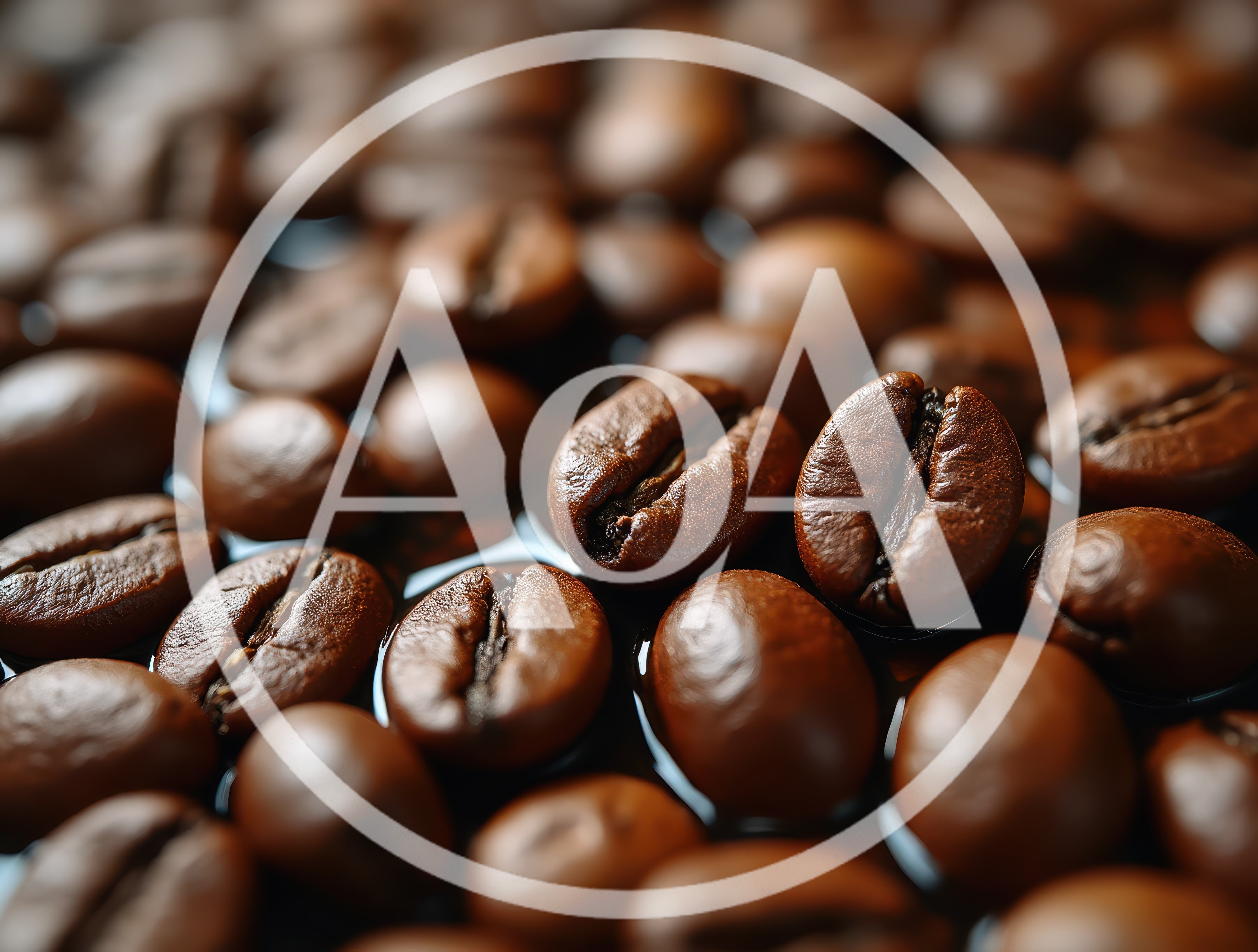 Macro Close Up Of Roasted Coffee Beans