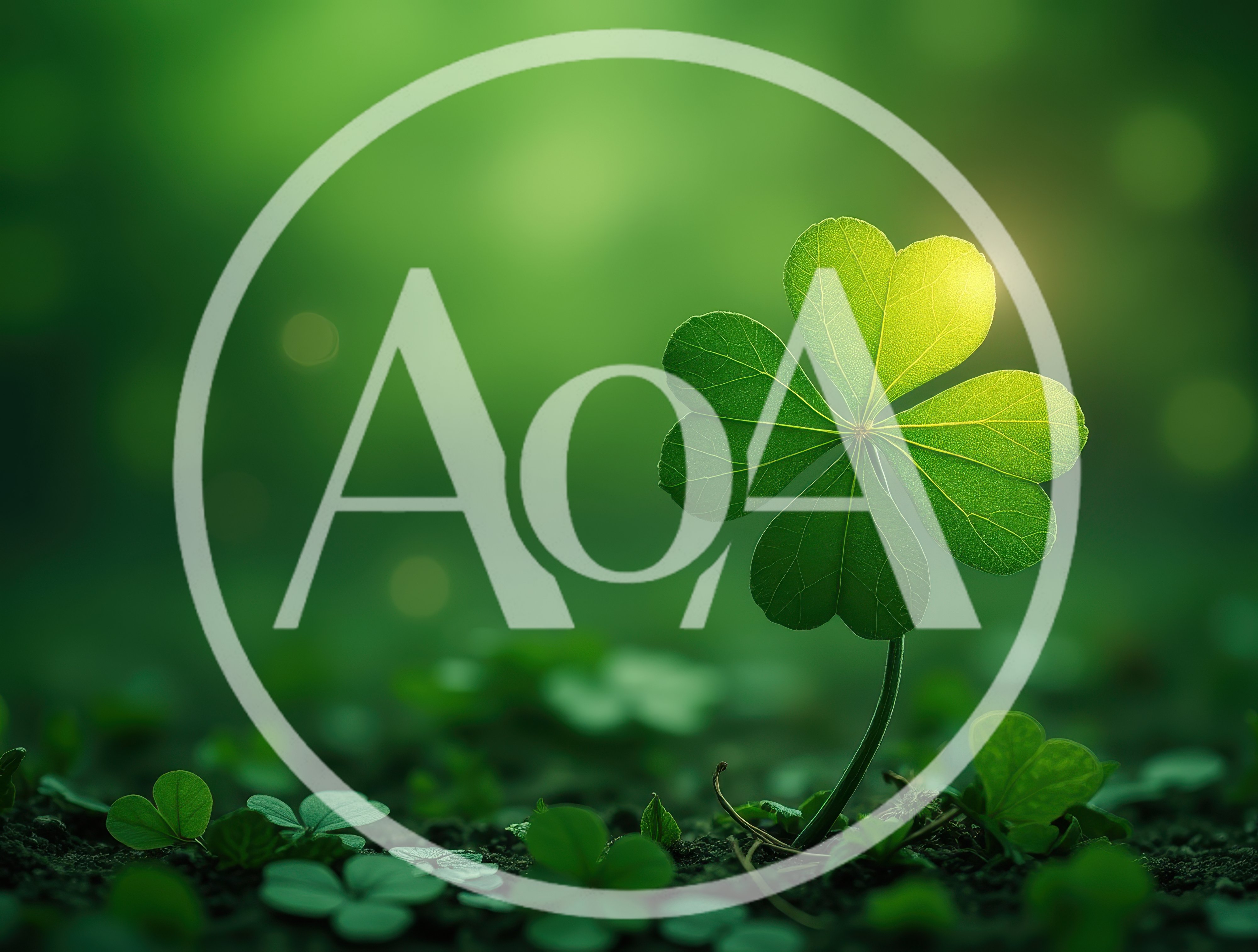 Four Leaf Clover Growing In A Lush Green Forest