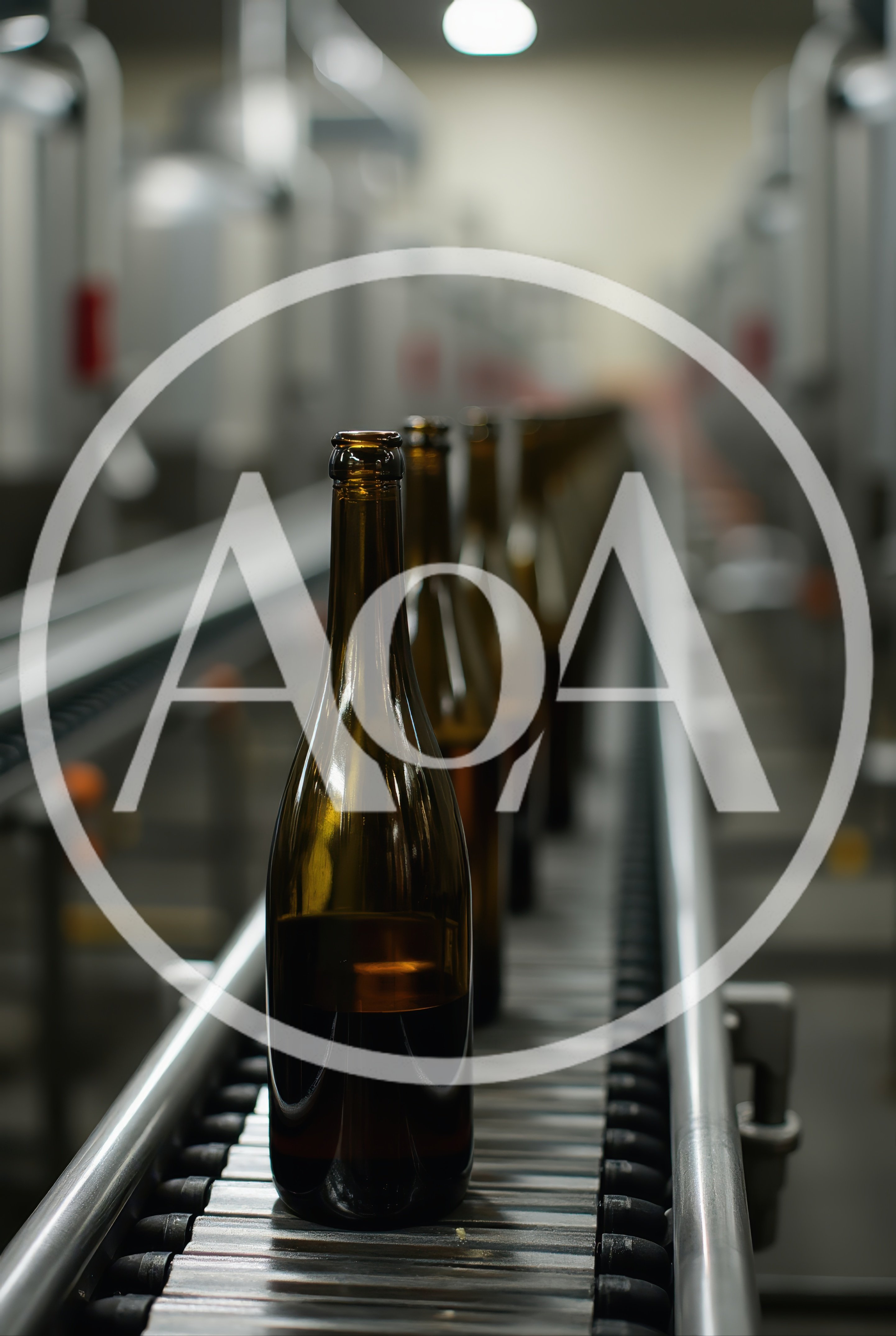 Empty Glass Bottles Moving Along Industrial Conveyor Belt