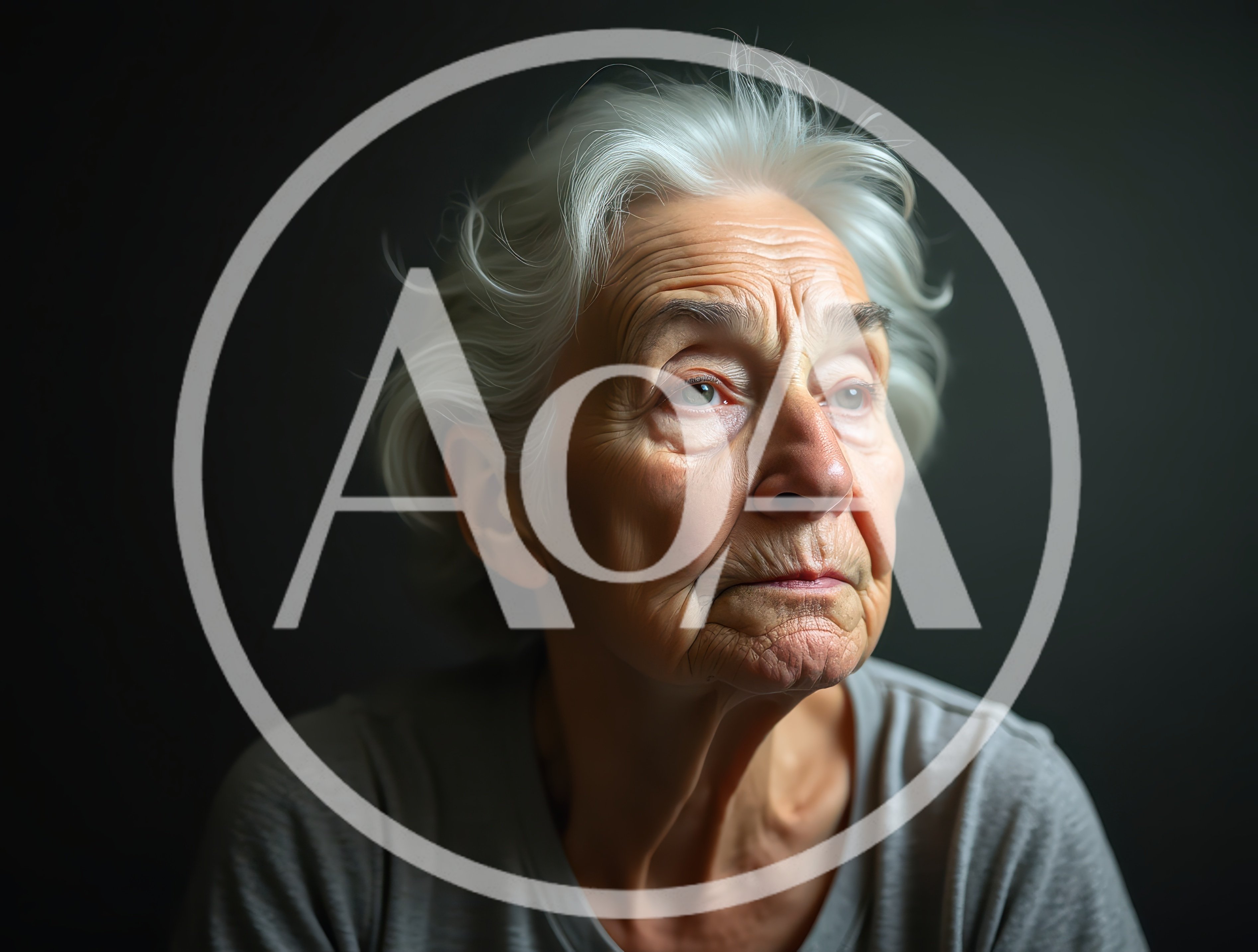Portrait Of An Elderly Woman With Silver Hair