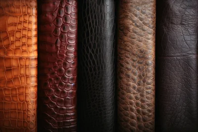 Five Vertical Strips of Textured Exotic Leather Samples