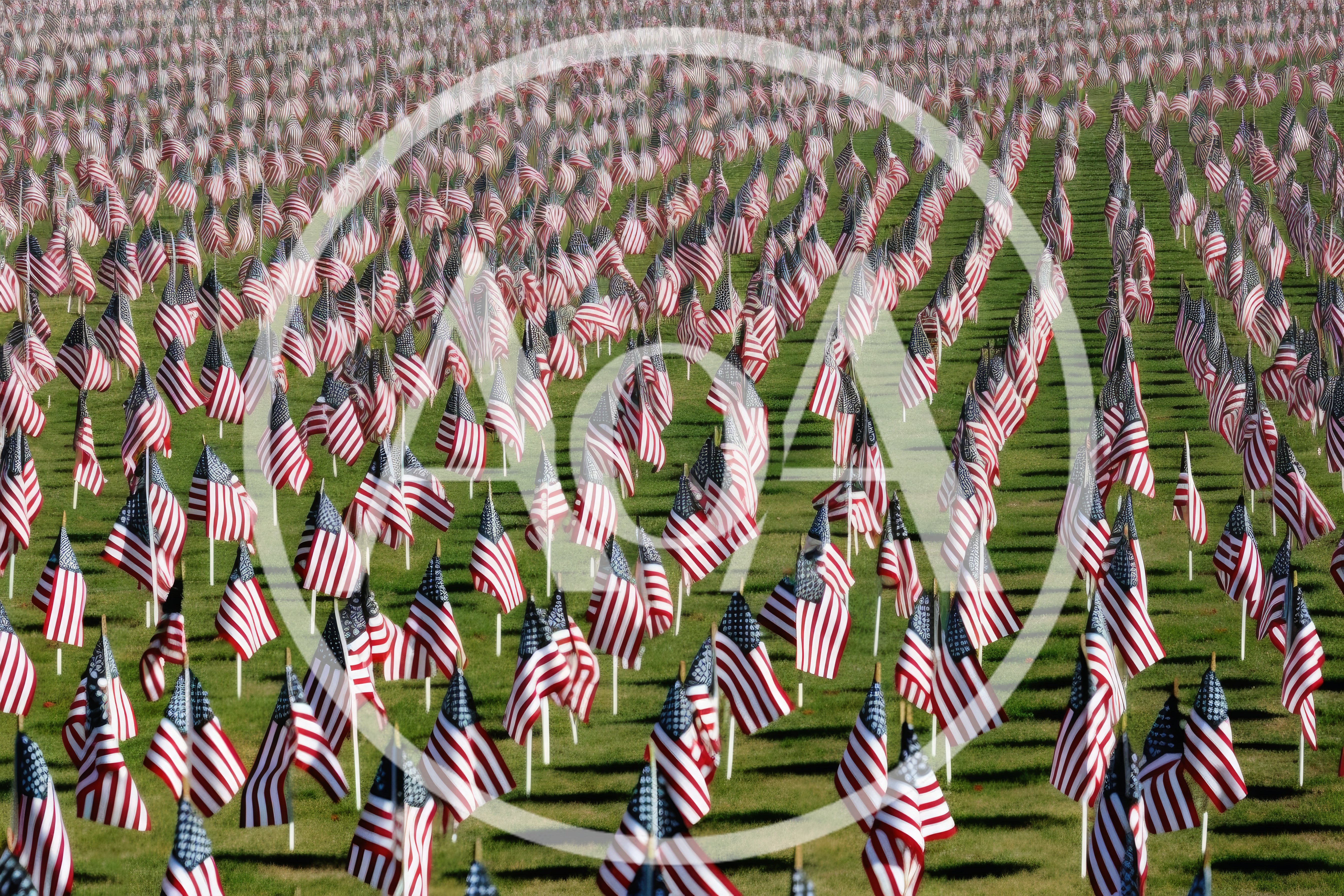 Rows Of American Flags Displayed On A Grassy Field