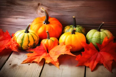 Autumn Harvest Pumpkins and Maple Leaves on Wood