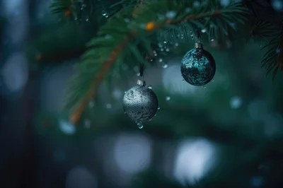 Two Decorative Christmas Ornaments Hanging On Pine Tree Branch